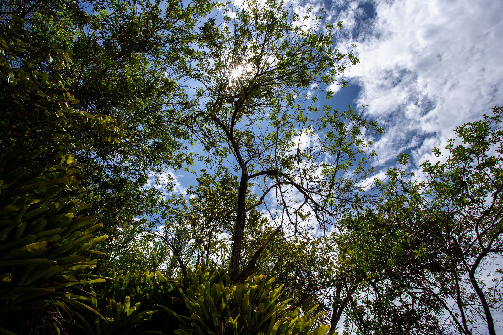 Entre Areias e Encantos - Boipeba e Moreré - 2 - 1