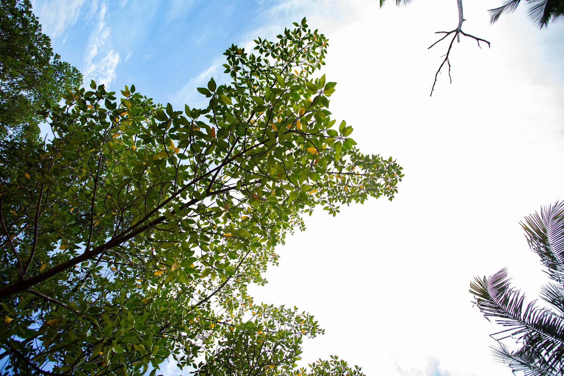 Entre Areias e Encantos - Boipeba e Moreré - 2 - 0