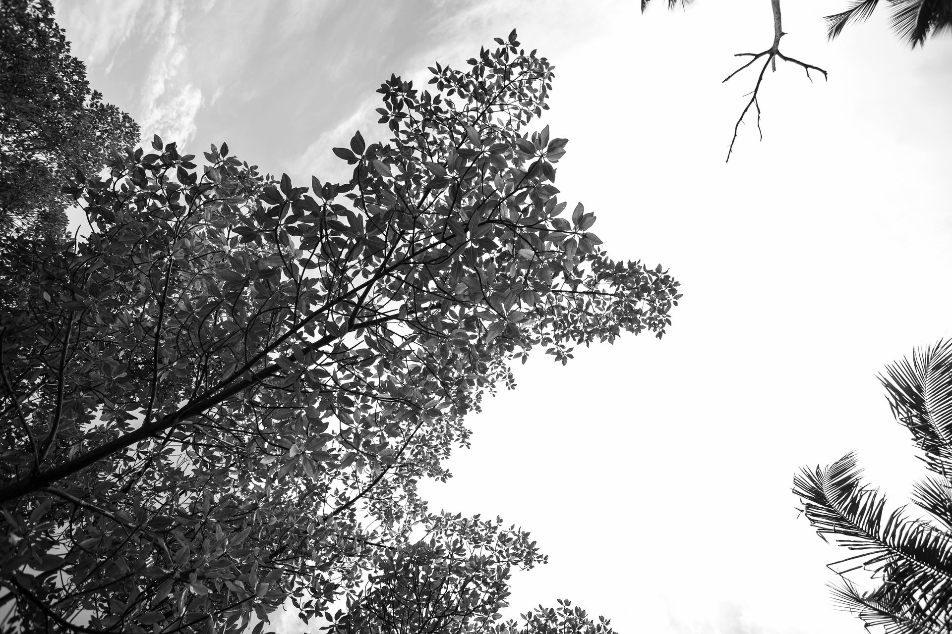 Entre Areias e Encantos - Boipeba e Moreré - 2 - 1