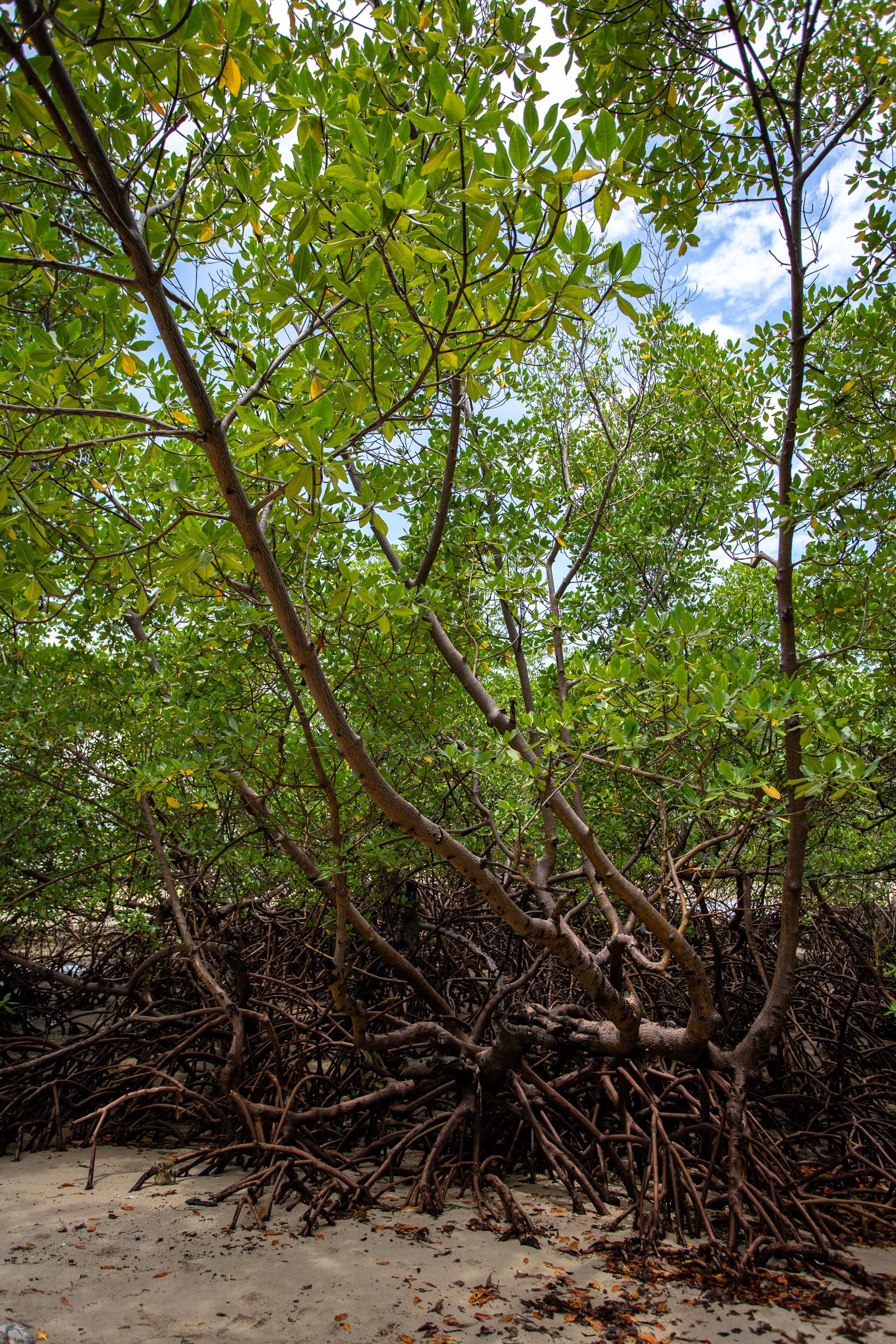 Entre Areias e Encantos - Boipeba e Moreré - 2 - 1