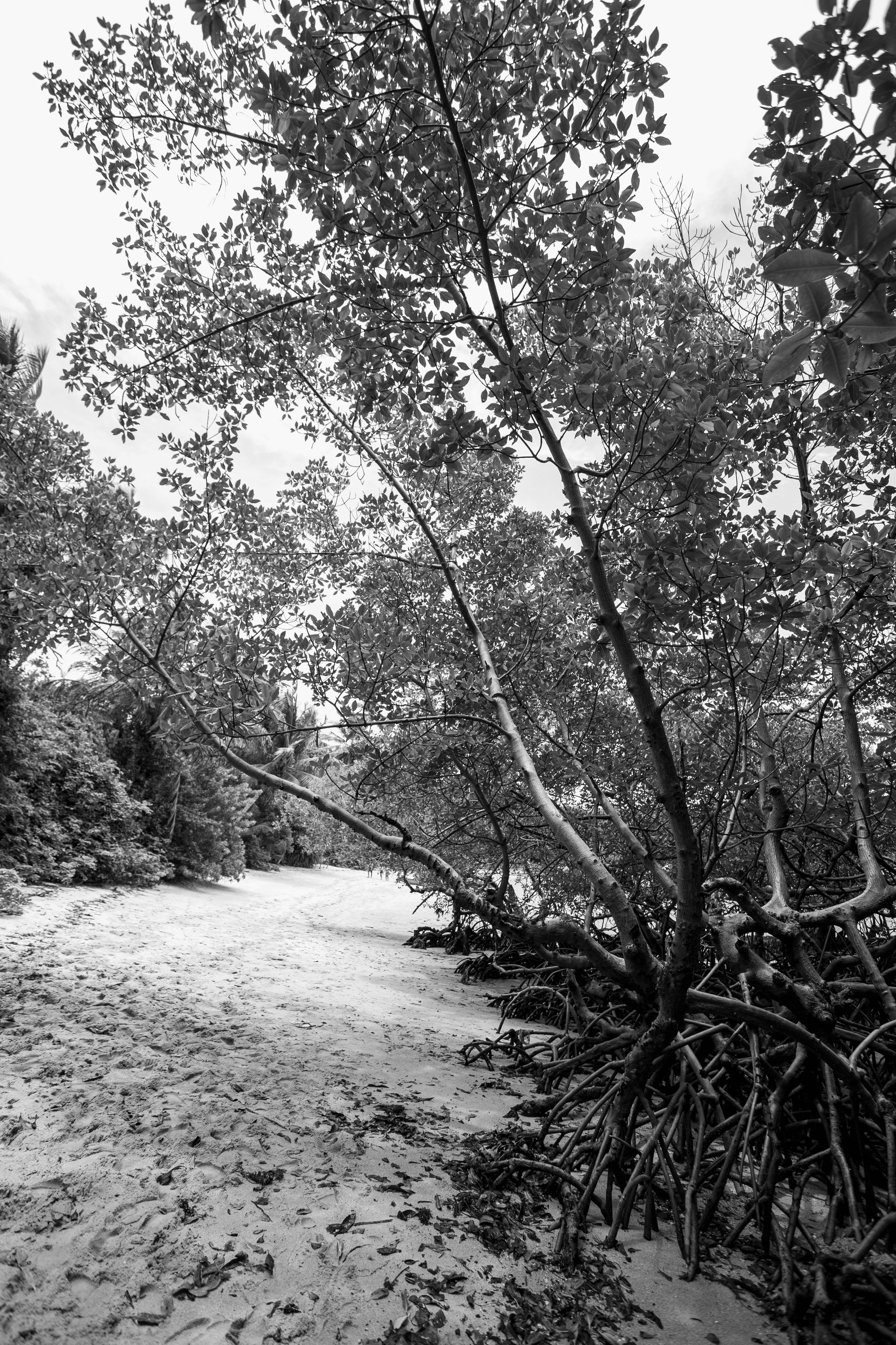 Entre Areias e Encantos - Boipeba e Moreré - 2 - 0