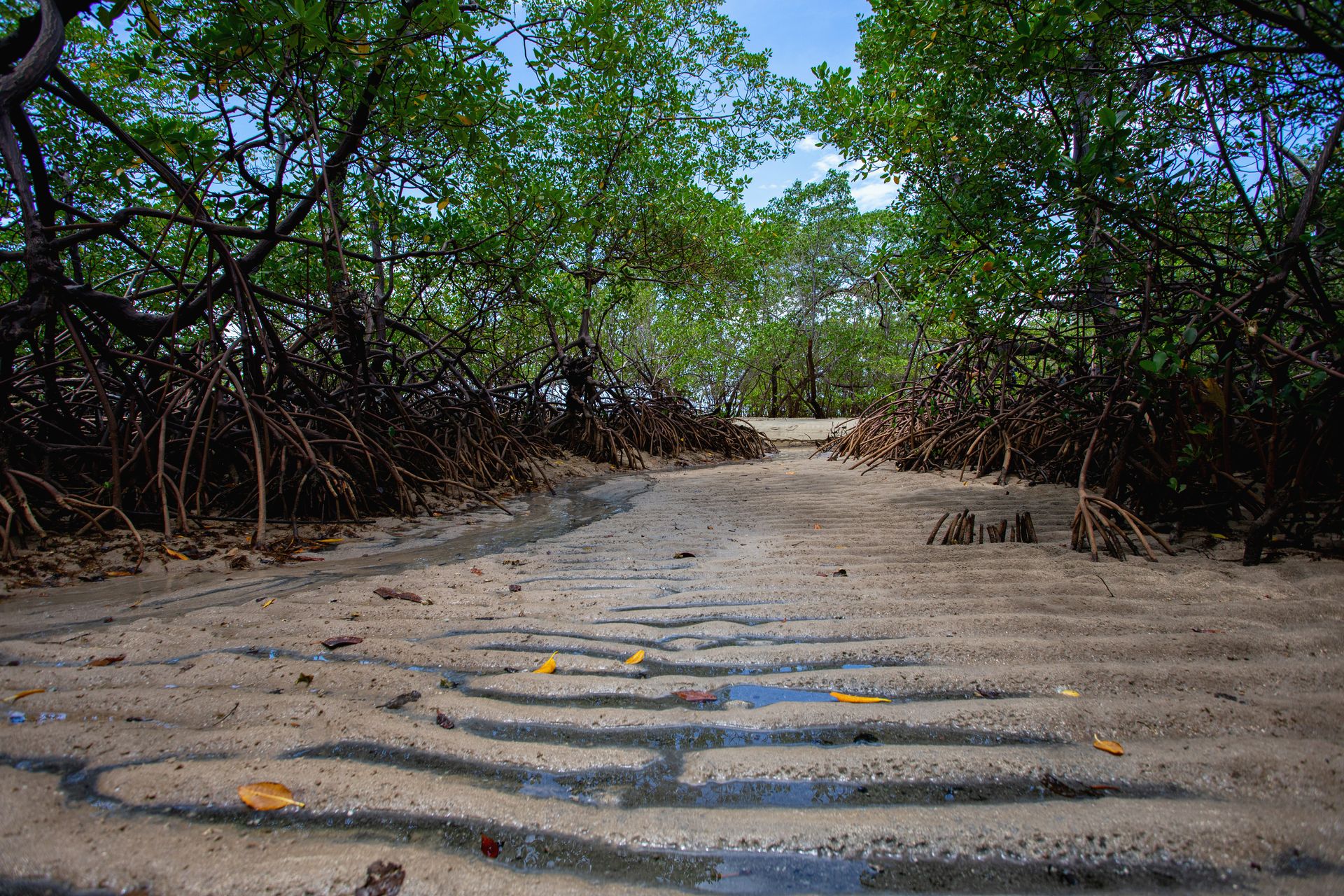 Entre Areias e Encantos - Boipeba e Moreré - 2 - 1