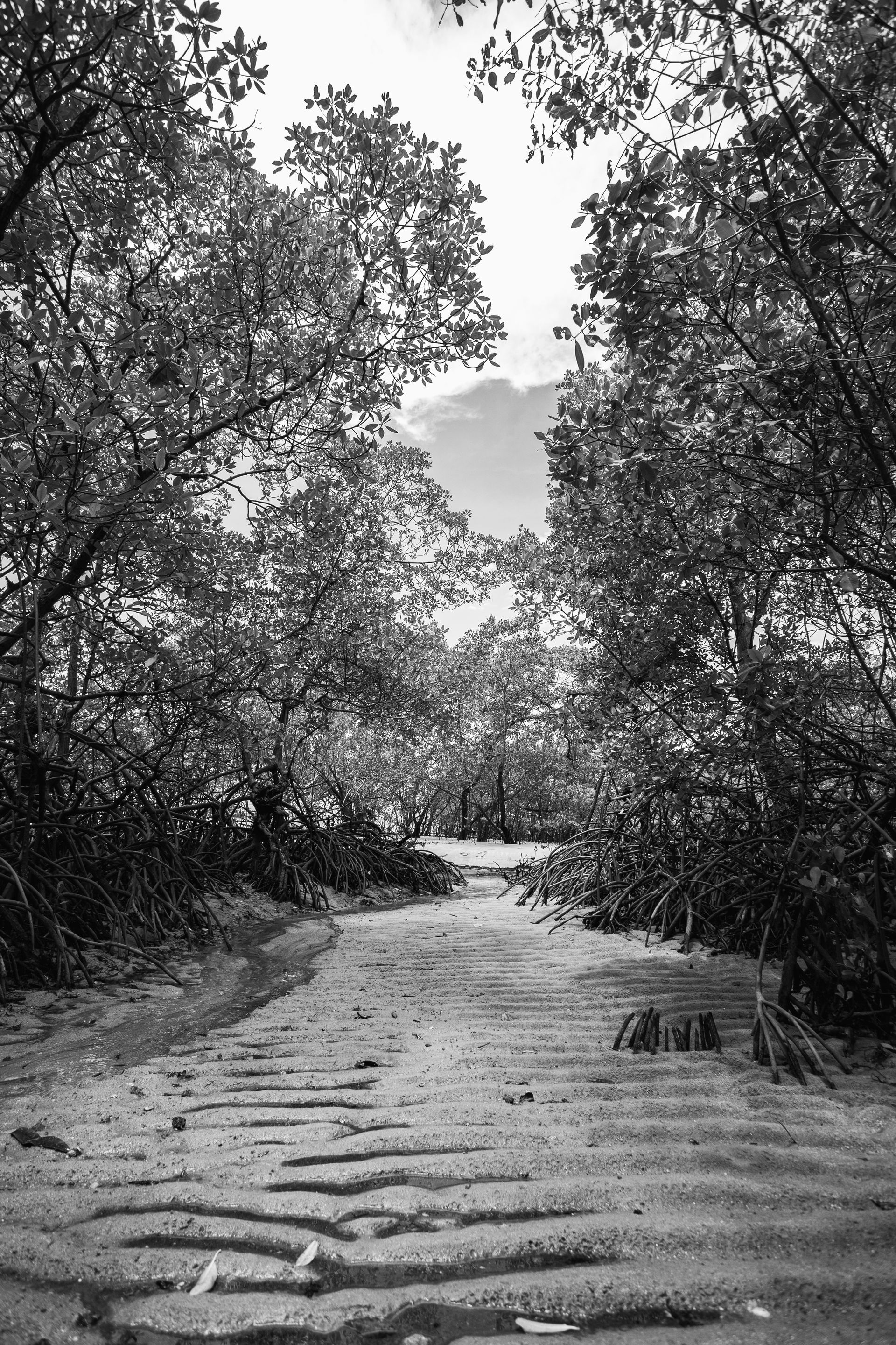 Entre Areias e Encantos - Boipeba e Moreré - 2 - 1