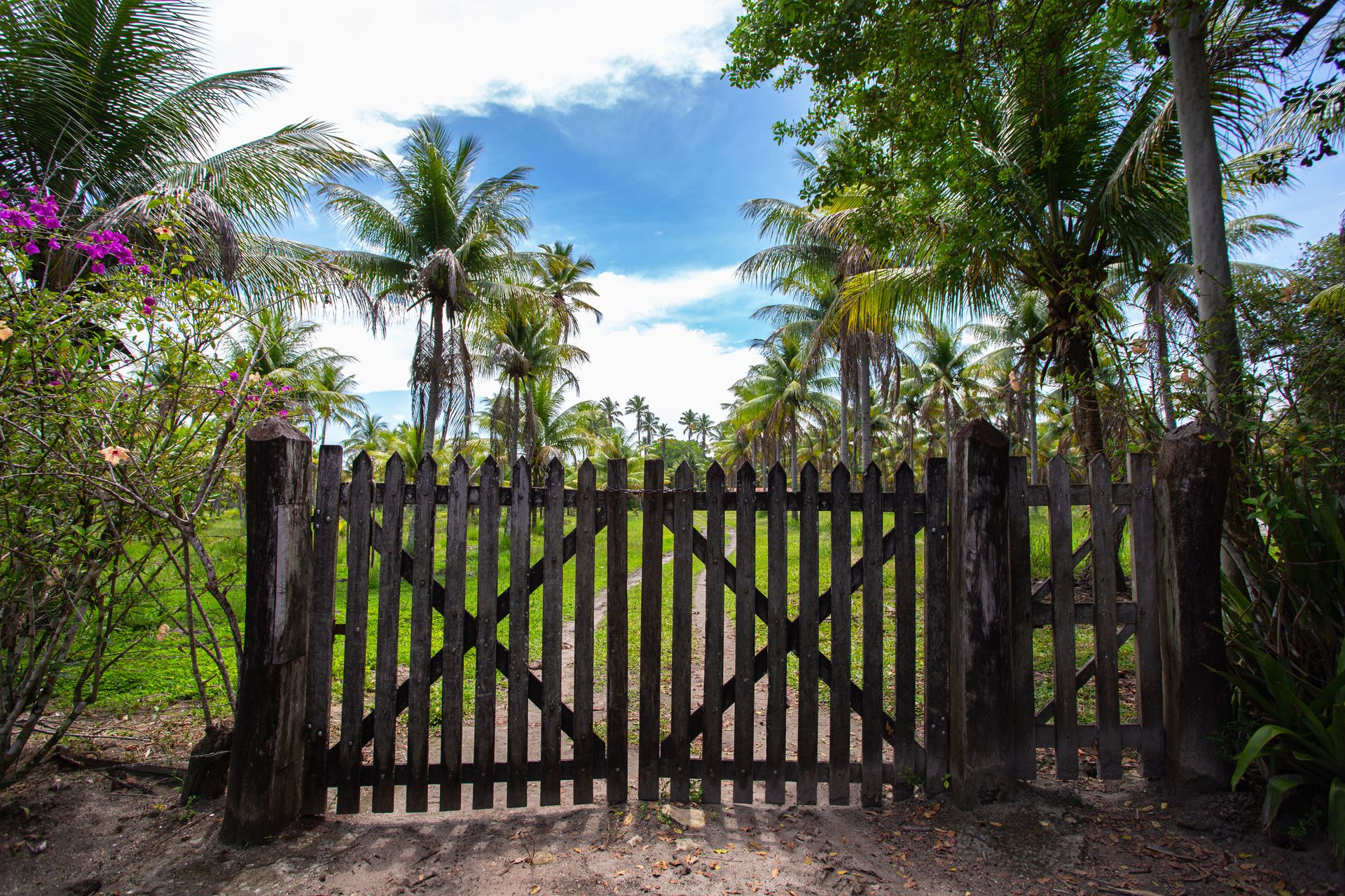 Entre Areias e Encantos - Boipeba e Moreré - 2 - 0