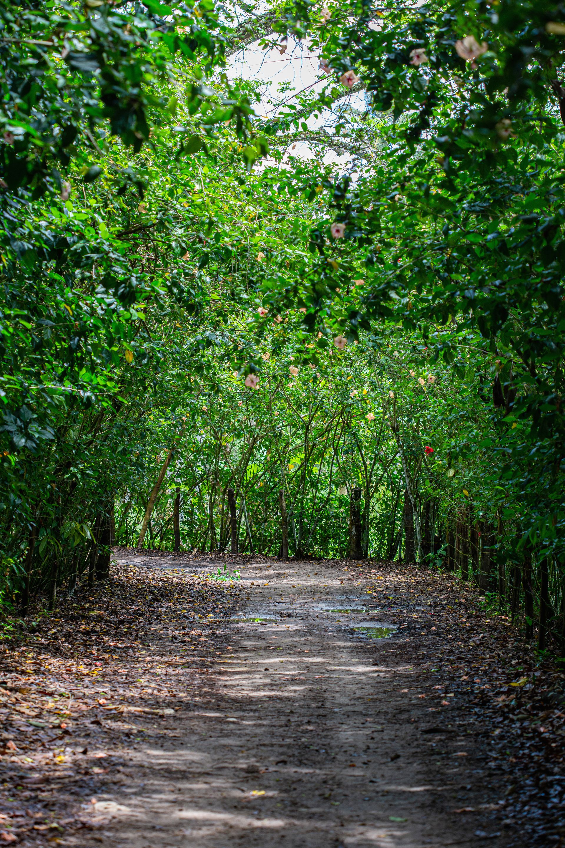 Entre Areias e Encantos - Boipeba e Moreré - 2 - 0
