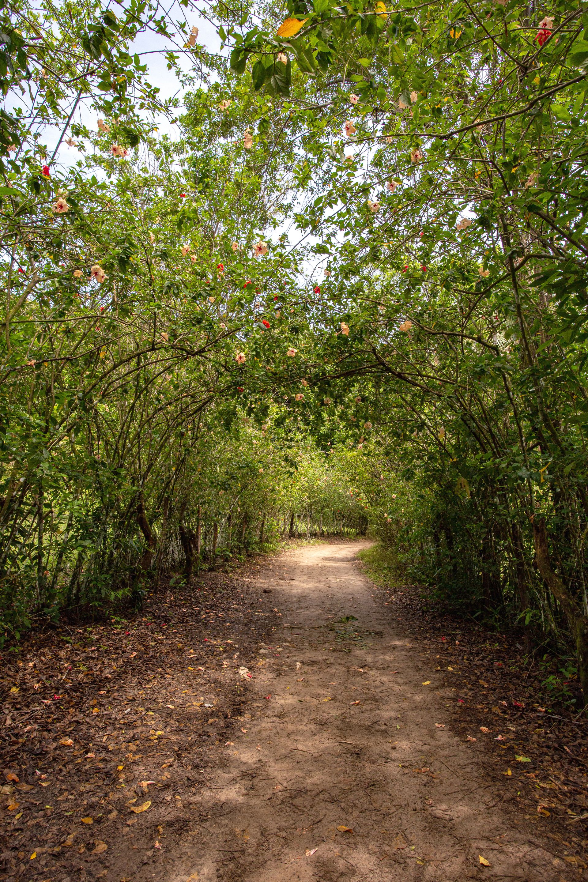 Entre Areias e Encantos - Boipeba e Moreré - 2 - 1