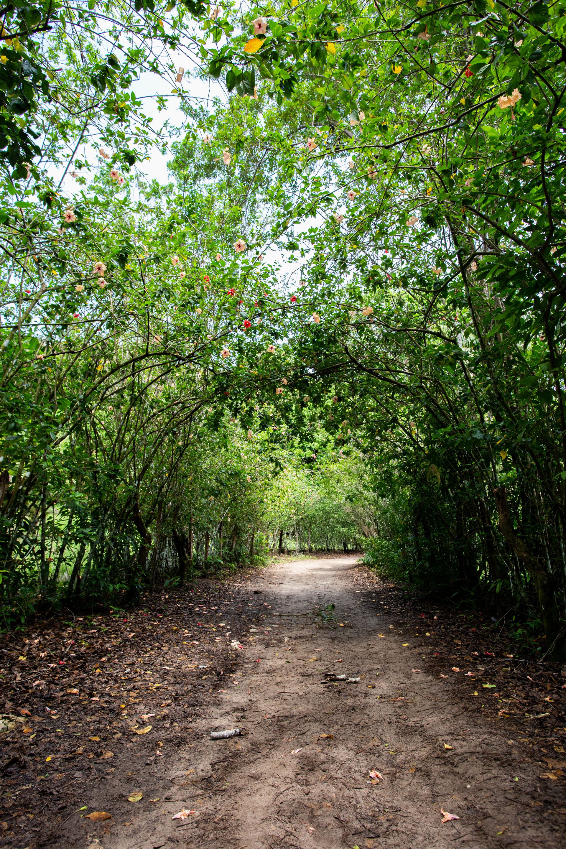 Entre Areias e Encantos - Boipeba e Moreré - 2 - 0