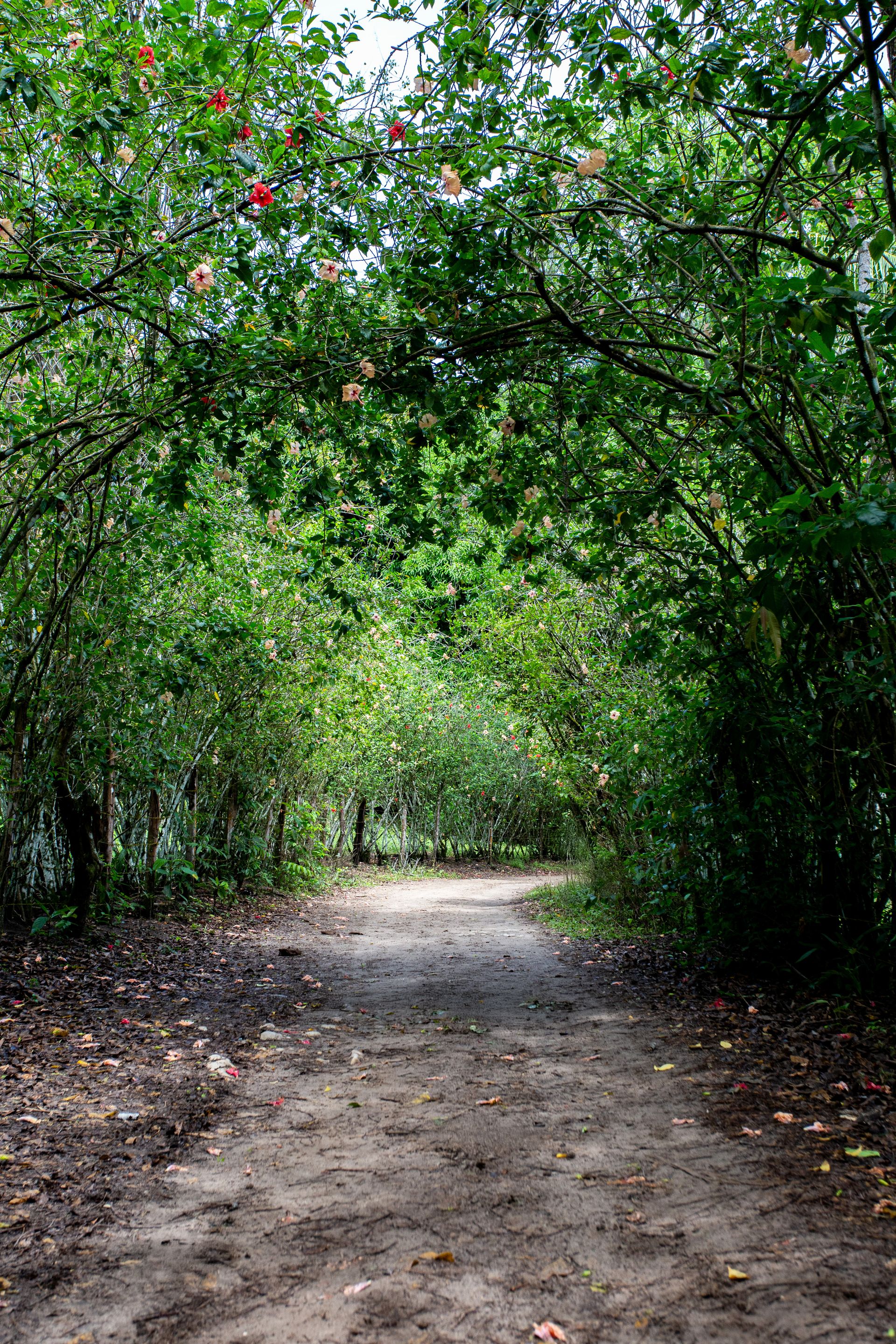 Entre Areias e Encantos - Boipeba e Moreré - 2 - 1