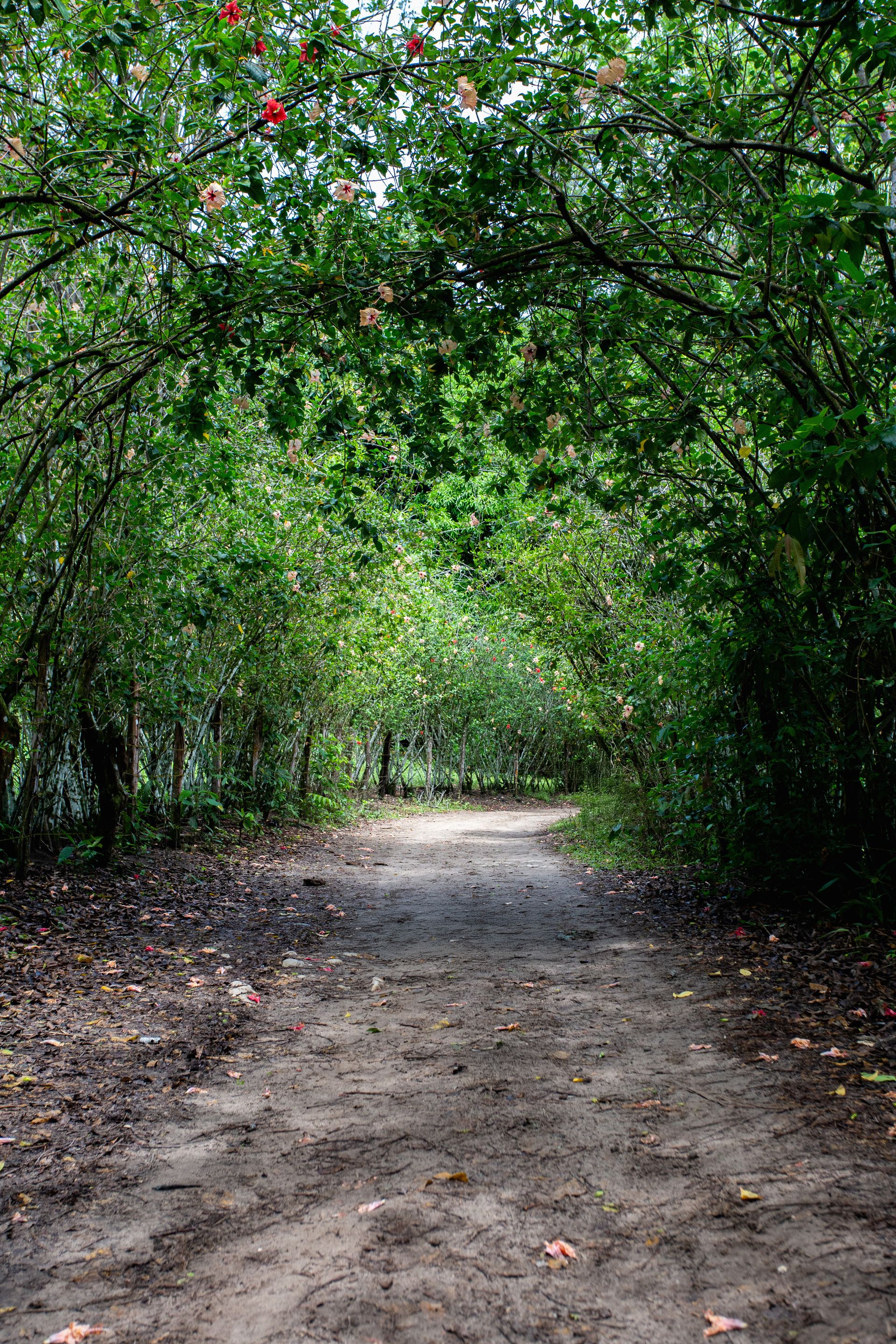 Entre Areias e Encantos - Boipeba e Moreré - 2 - 1