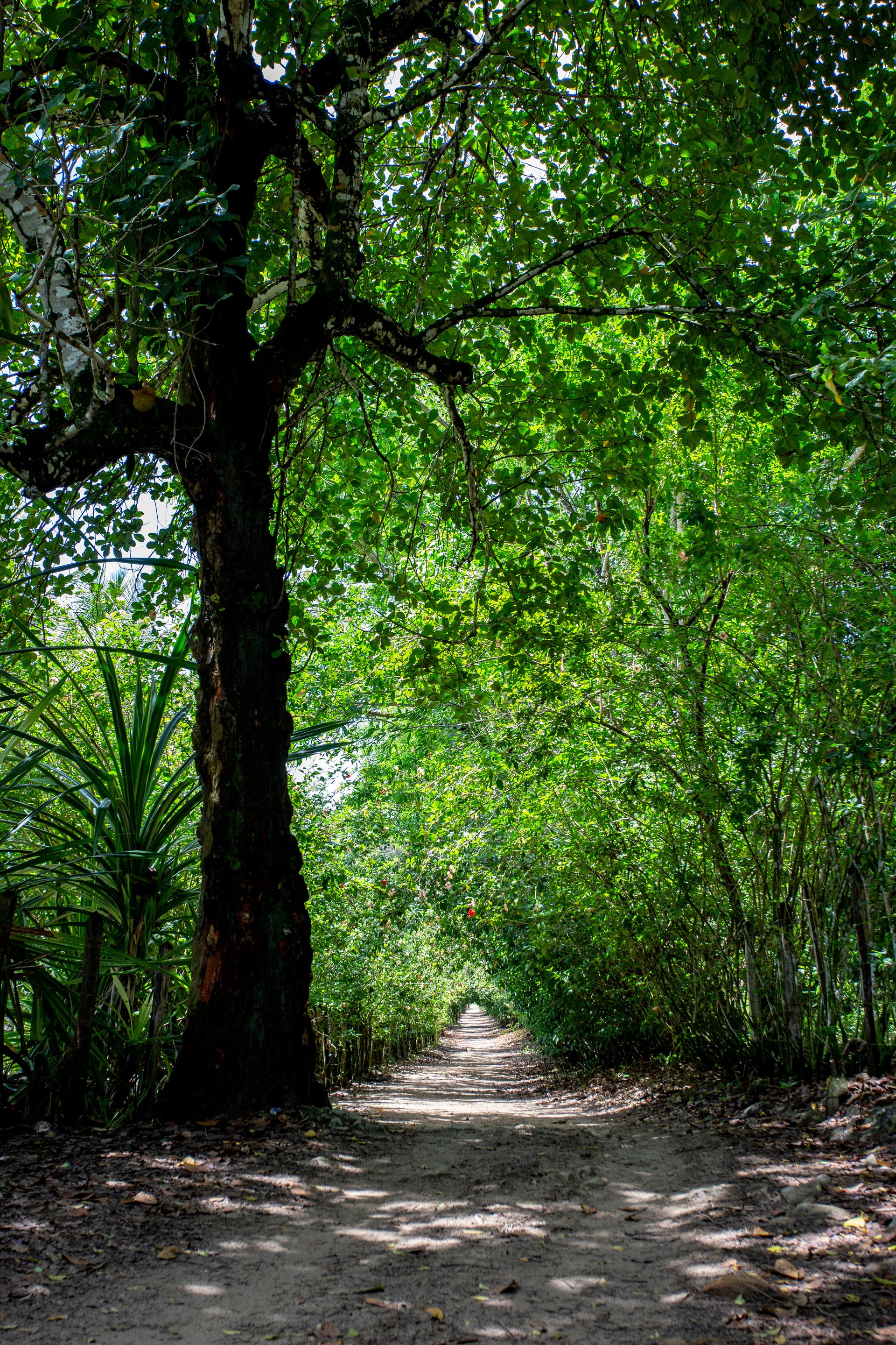 Entre Areias e Encantos - Boipeba e Moreré - 2 - 0