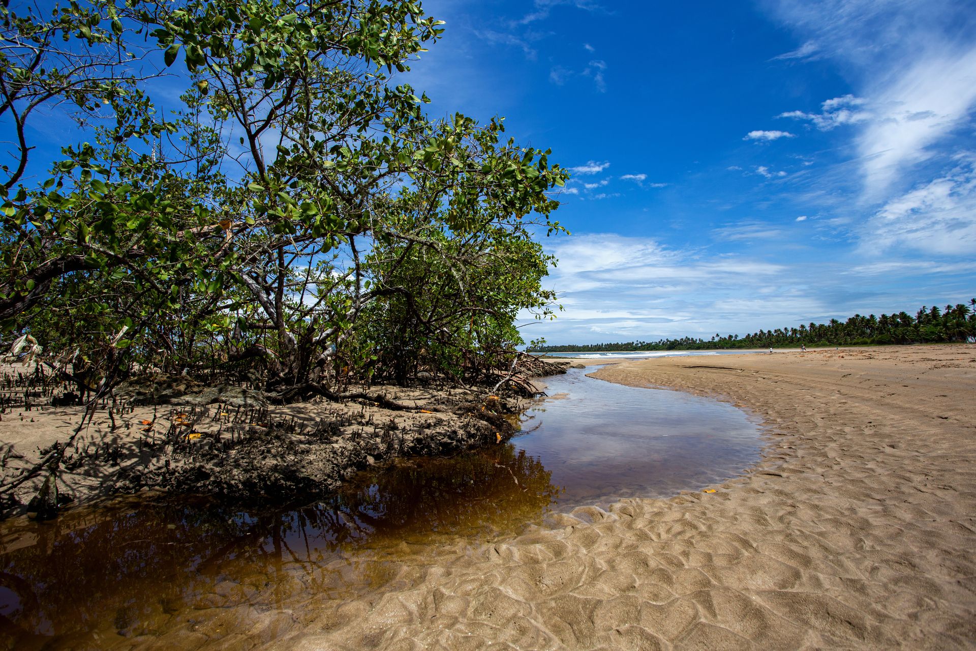 Entre Areias e Encantos - Boipeba e Moreré - 2 - 1