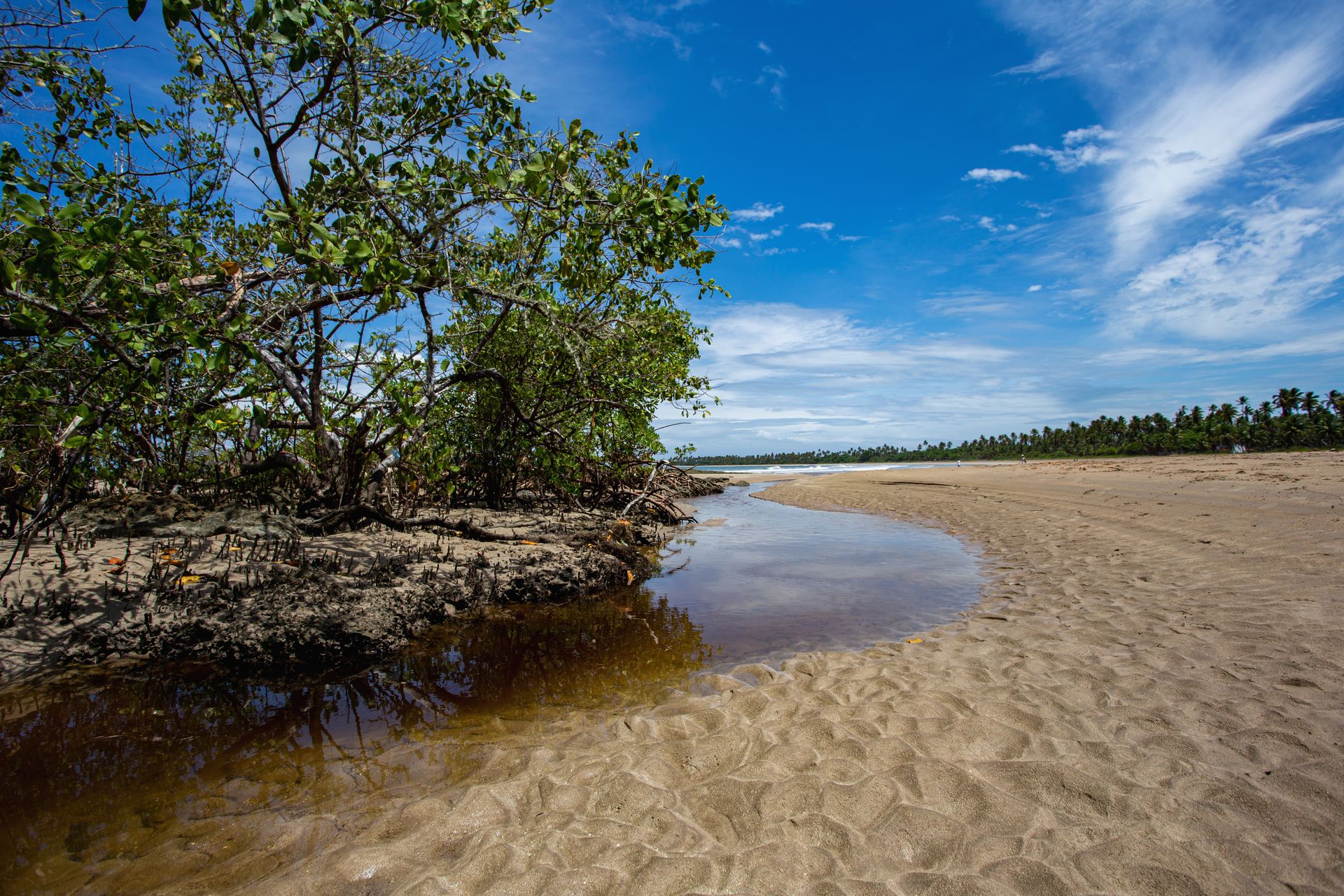Entre Areias e Encantos - Boipeba e Moreré - 2 - 0
