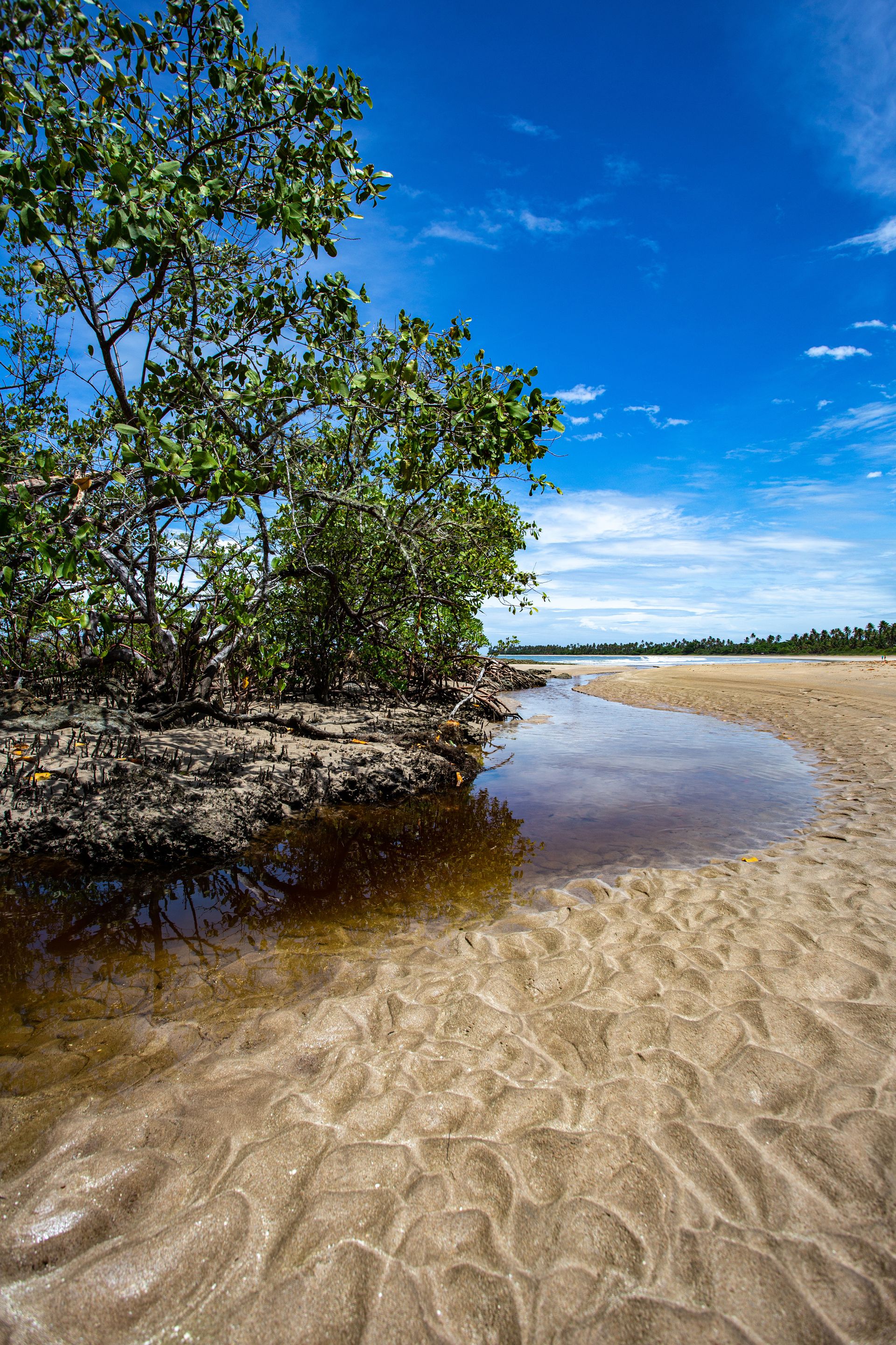 Entre Areias e Encantos - Boipeba e Moreré - 2 - 0