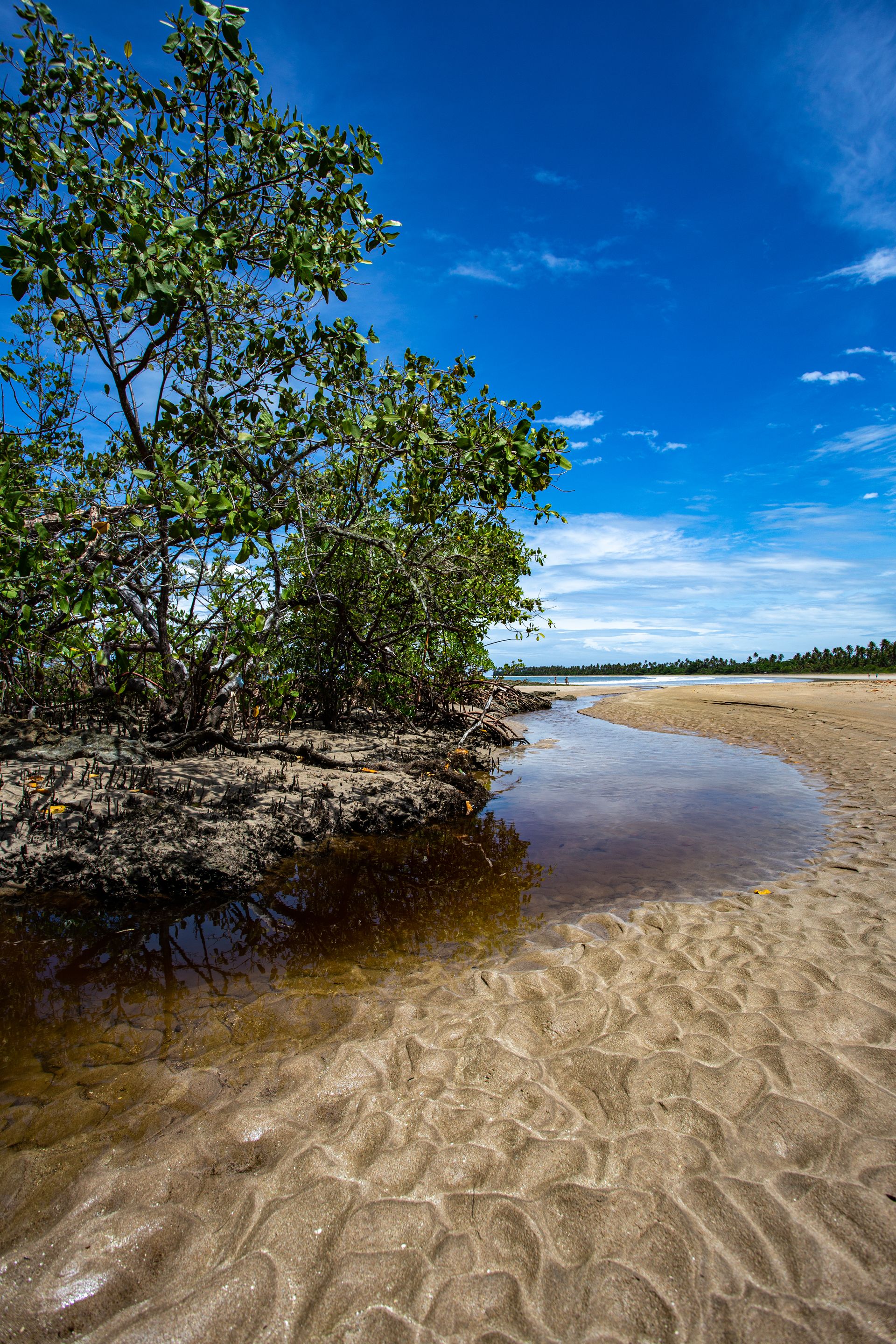 Entre Areias e Encantos - Boipeba e Moreré - 2 - 0