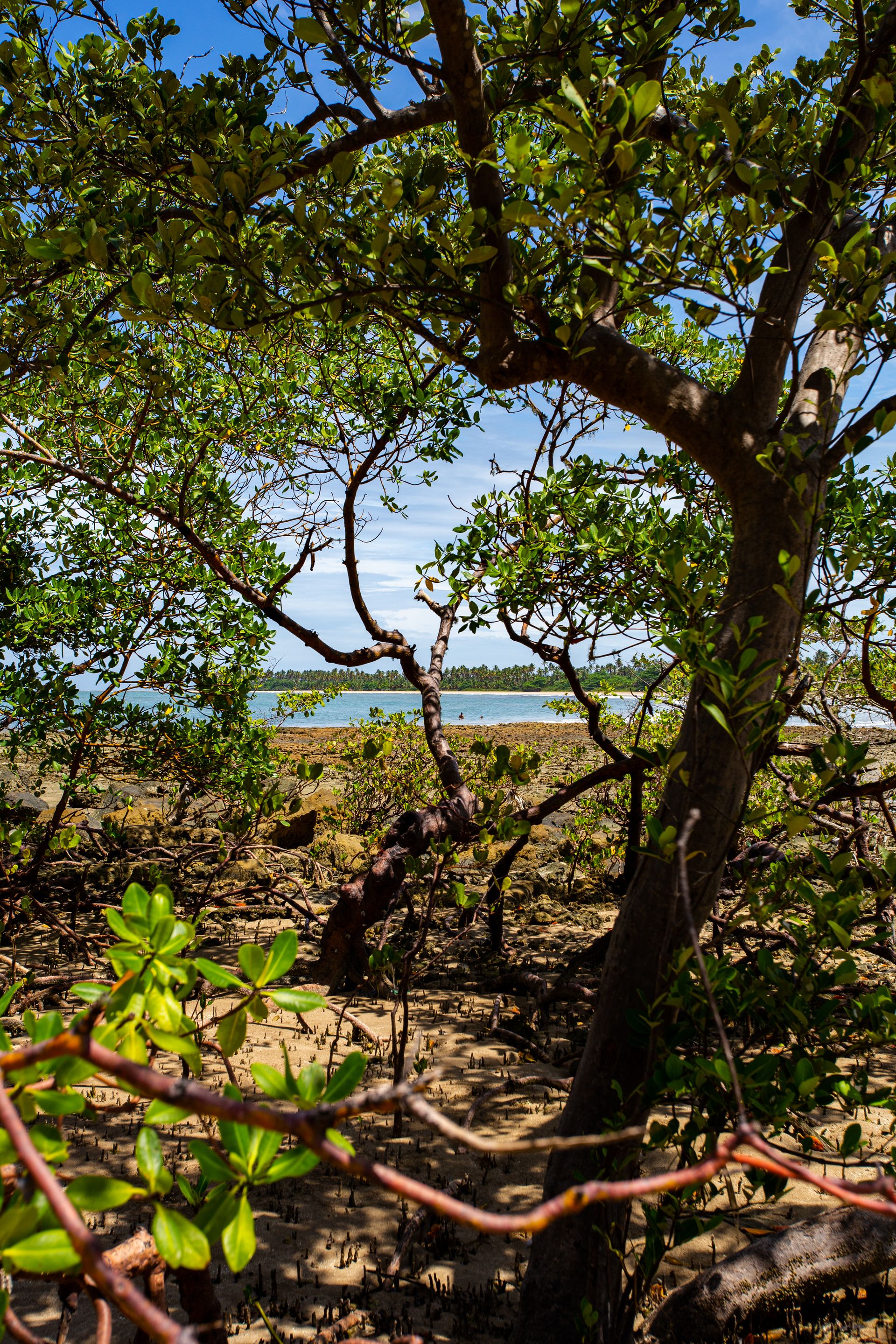 Entre Areias e Encantos - Boipeba e Moreré - 2 - 1