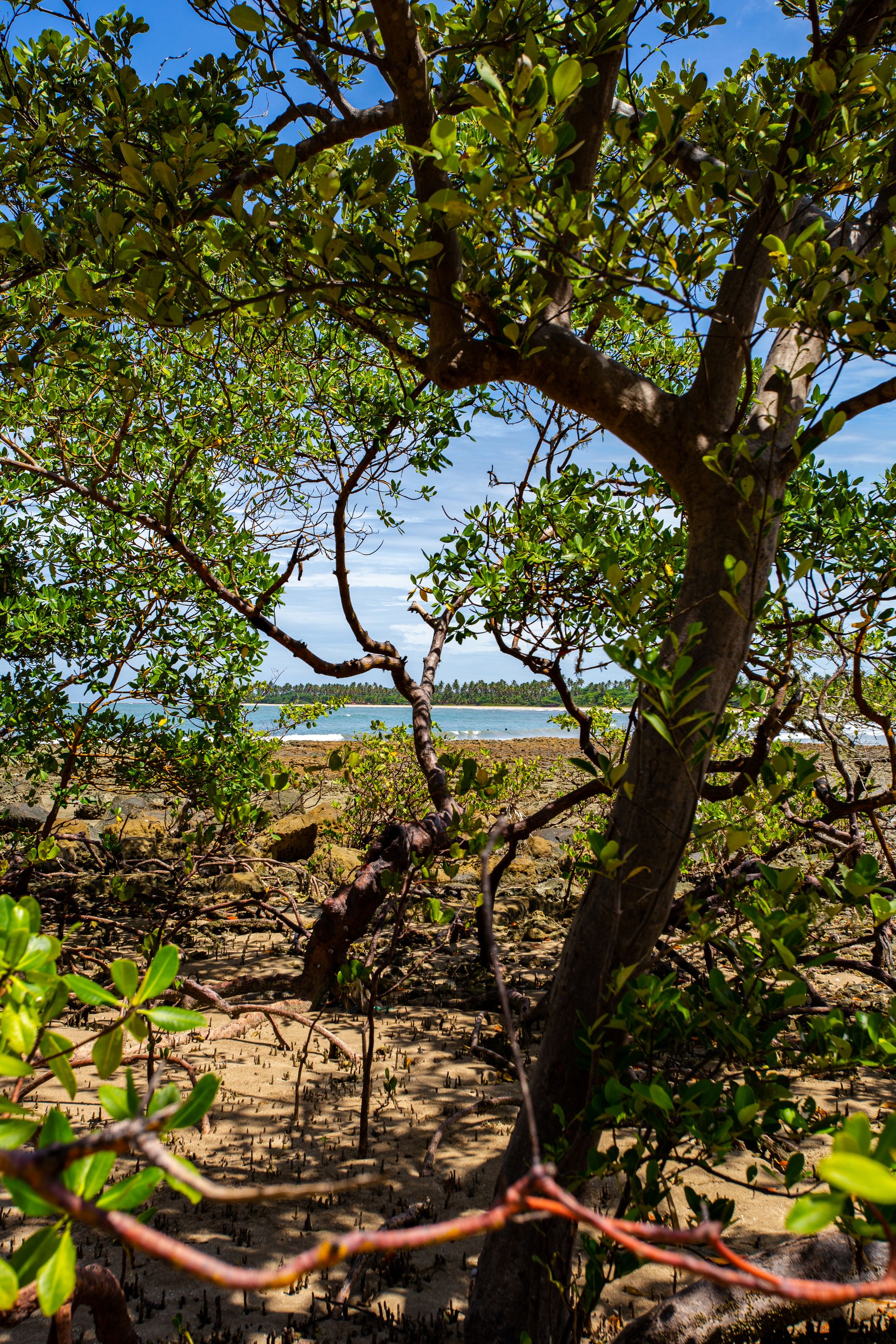Entre Areias e Encantos - Boipeba e Moreré - 2 - 0