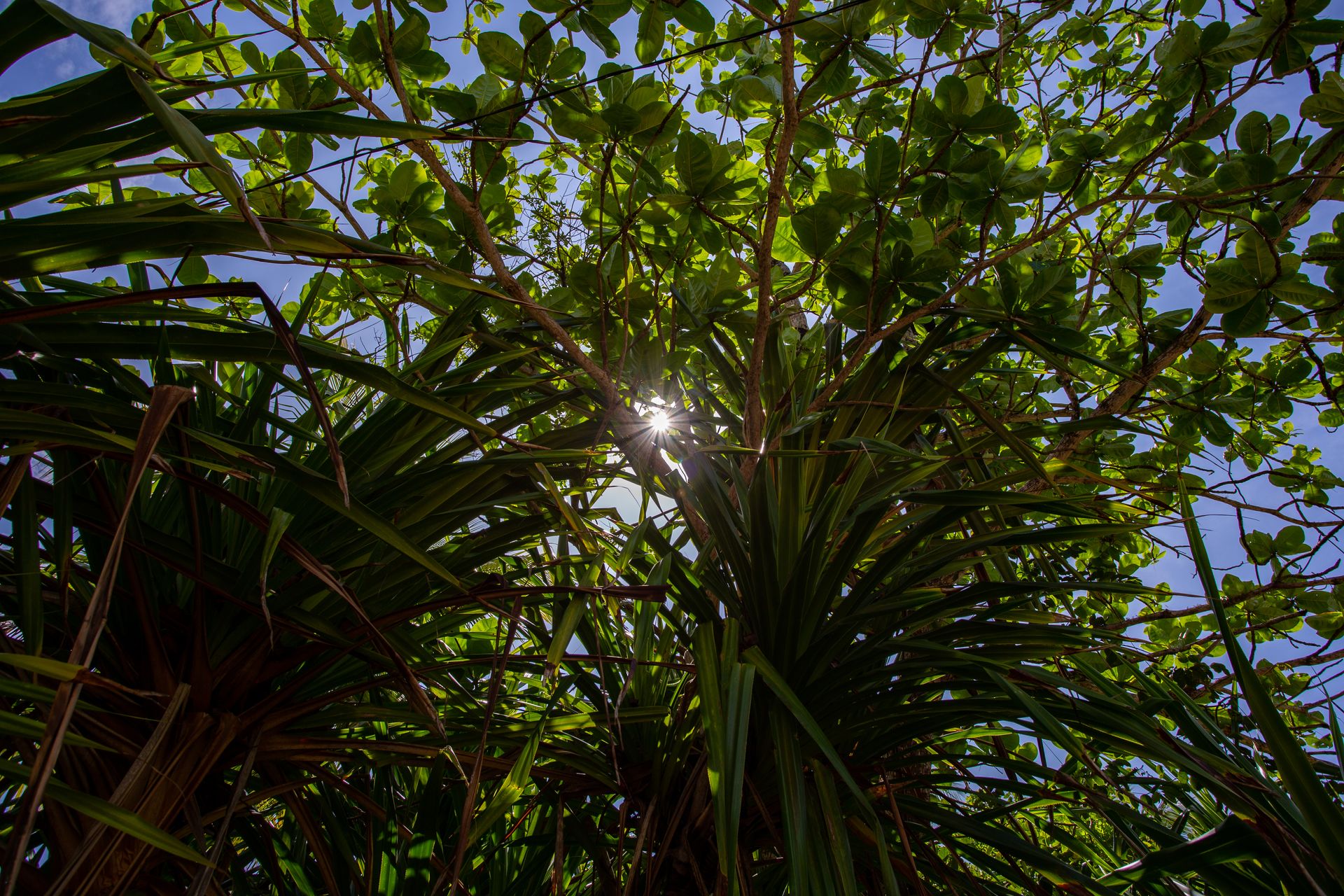 Entre Areias e Encantos - Boipeba e Moreré - 2 - 0