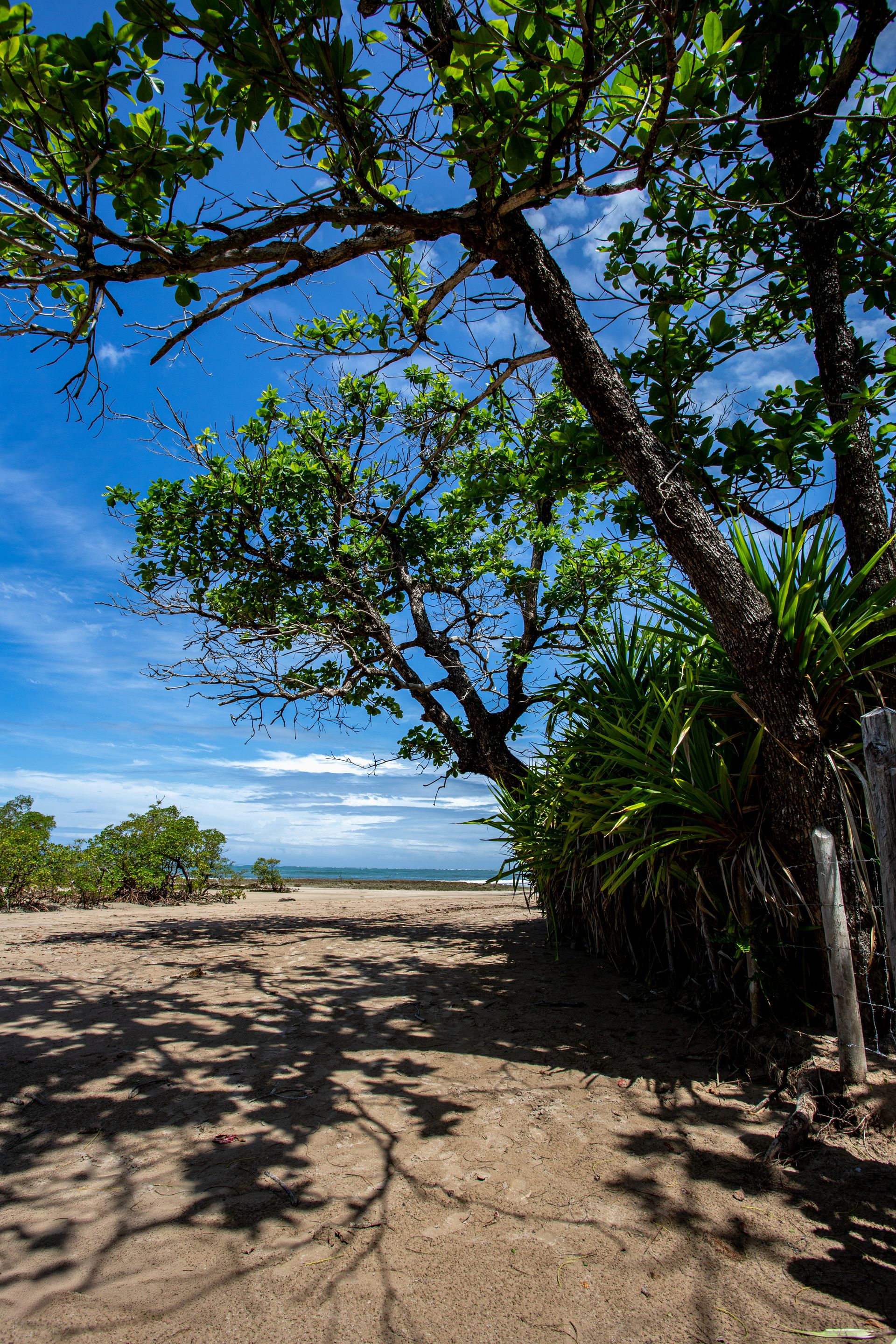 Entre Areias e Encantos - Boipeba e Moreré - 2 - 1