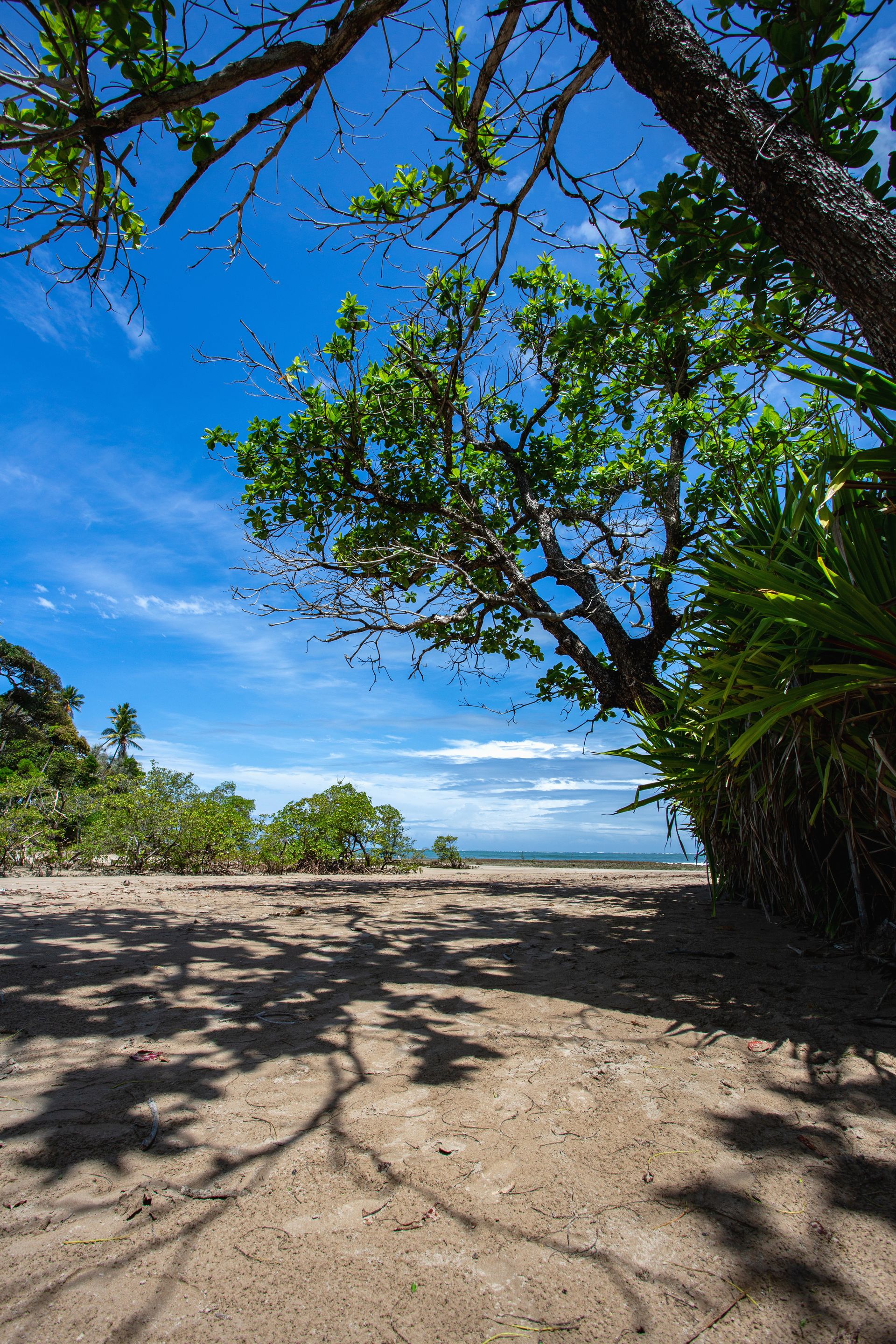 Entre Areias e Encantos - Boipeba e Moreré - 2 - 1