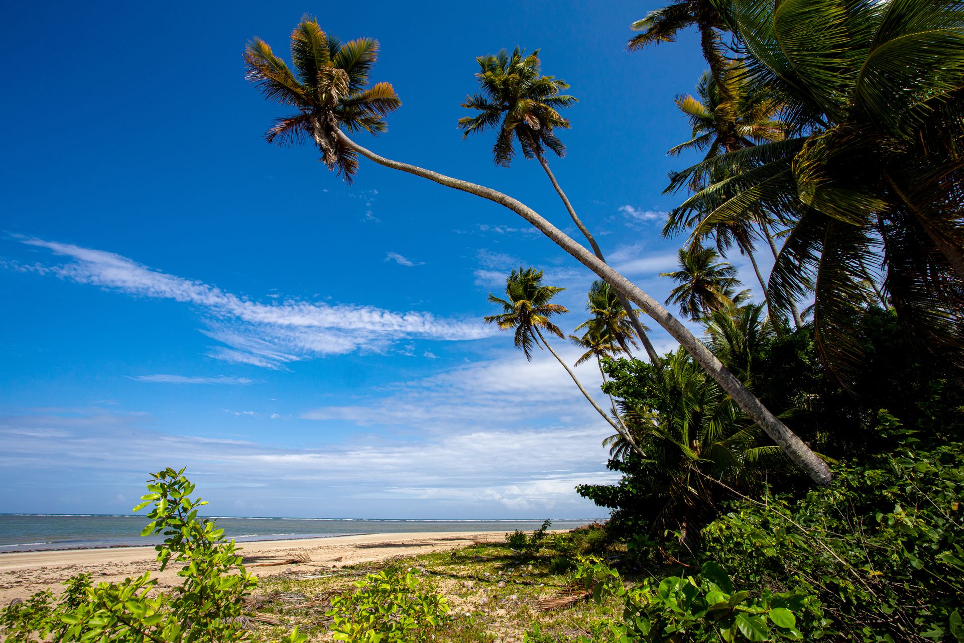 Entre Areias e Encantos - Boipeba e Moreré - 2 - 1