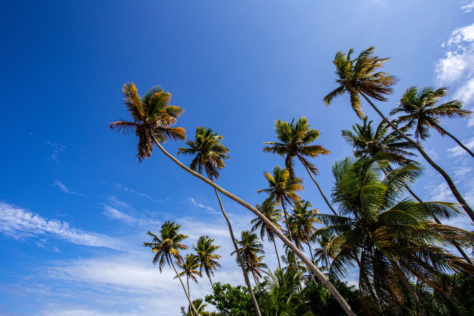 Entre Areias e Encantos - Boipeba e Moreré - 2 - 0
