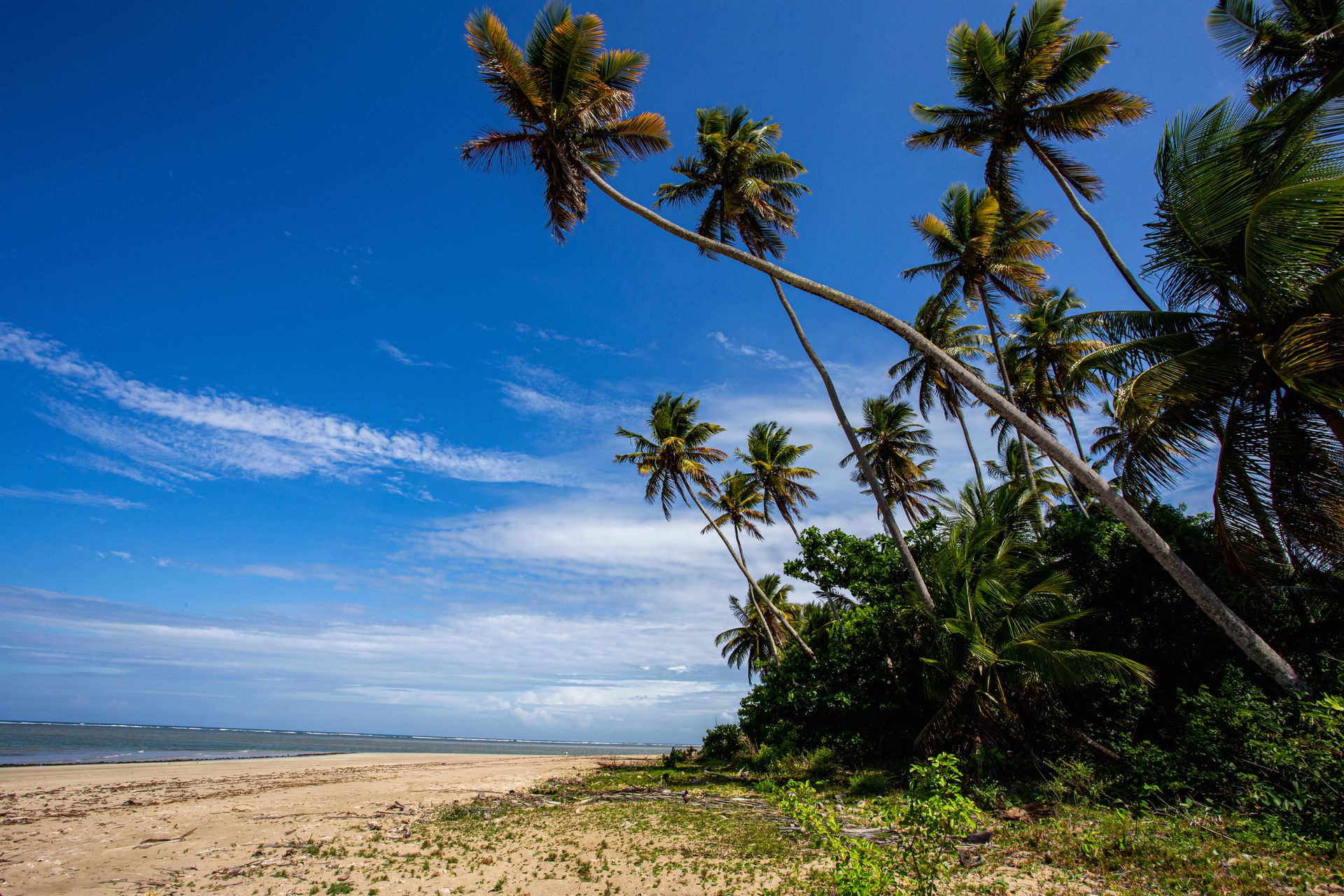 Entre Areias e Encantos - Boipeba e Moreré - 2 - 0