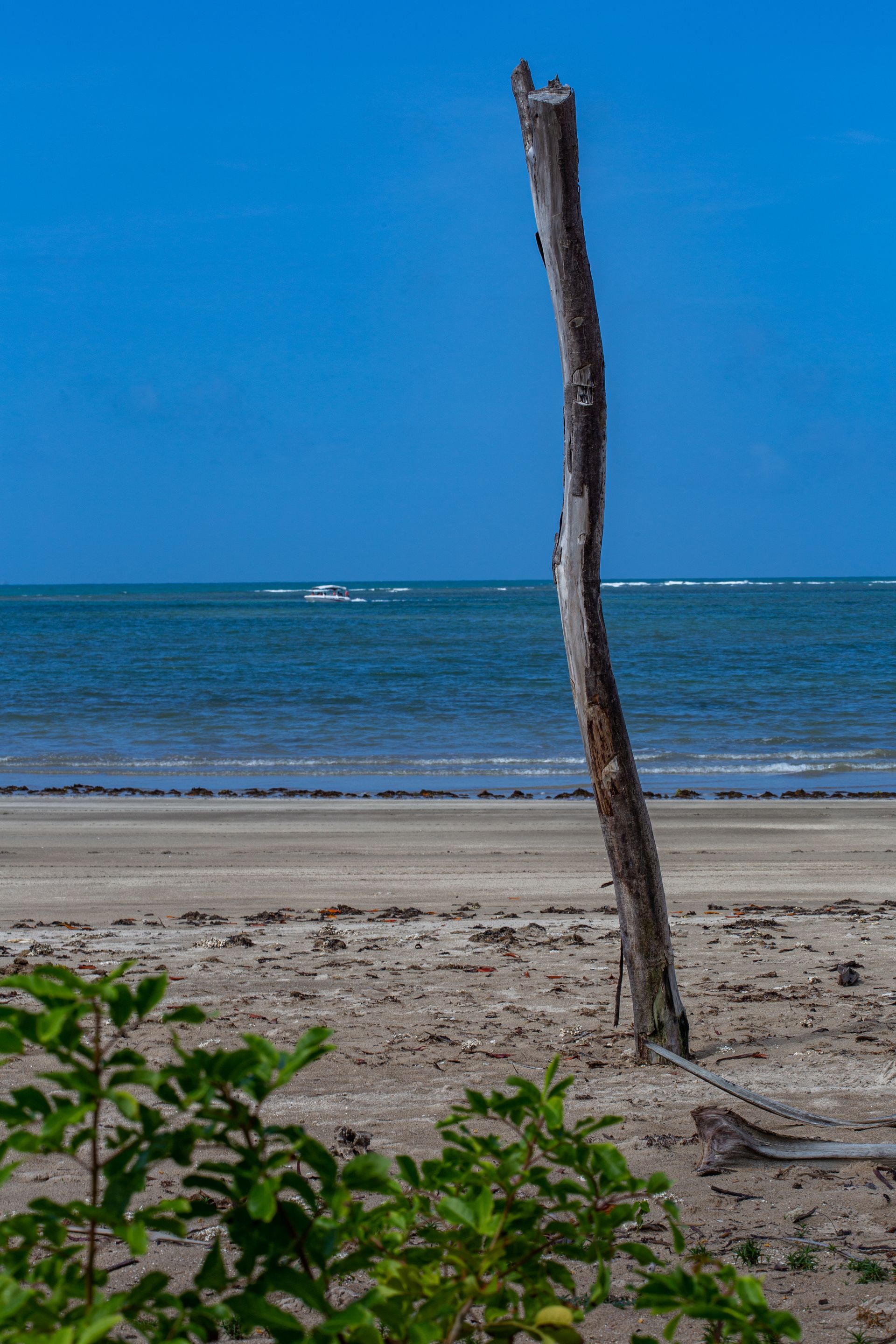 Entre Areias e Encantos - Boipeba e Moreré - 2 - 0