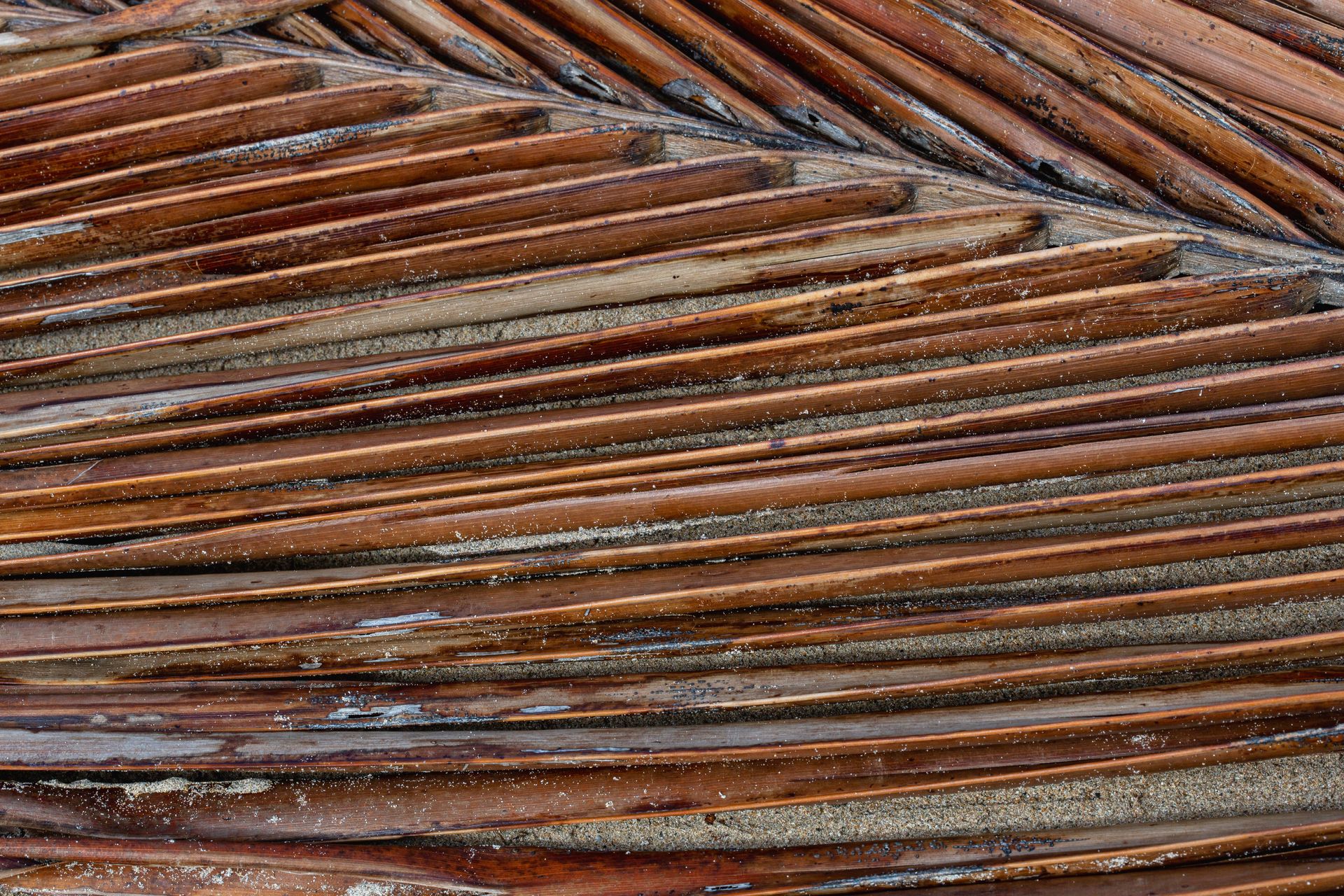 Entre Areias e Encantos - Boipeba e Moreré - 2 - 1