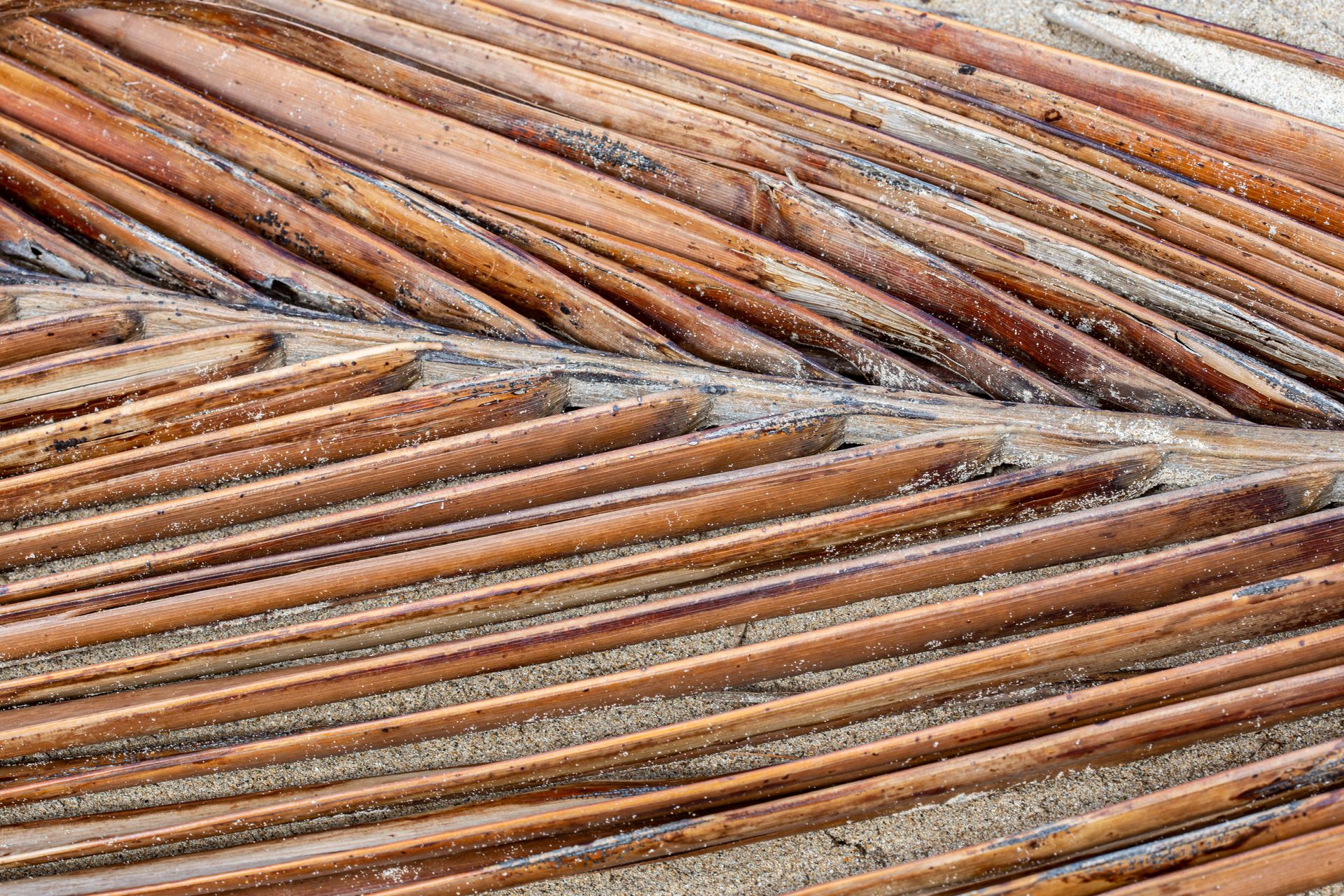 Entre Areias e Encantos - Boipeba e Moreré - 2 - 1