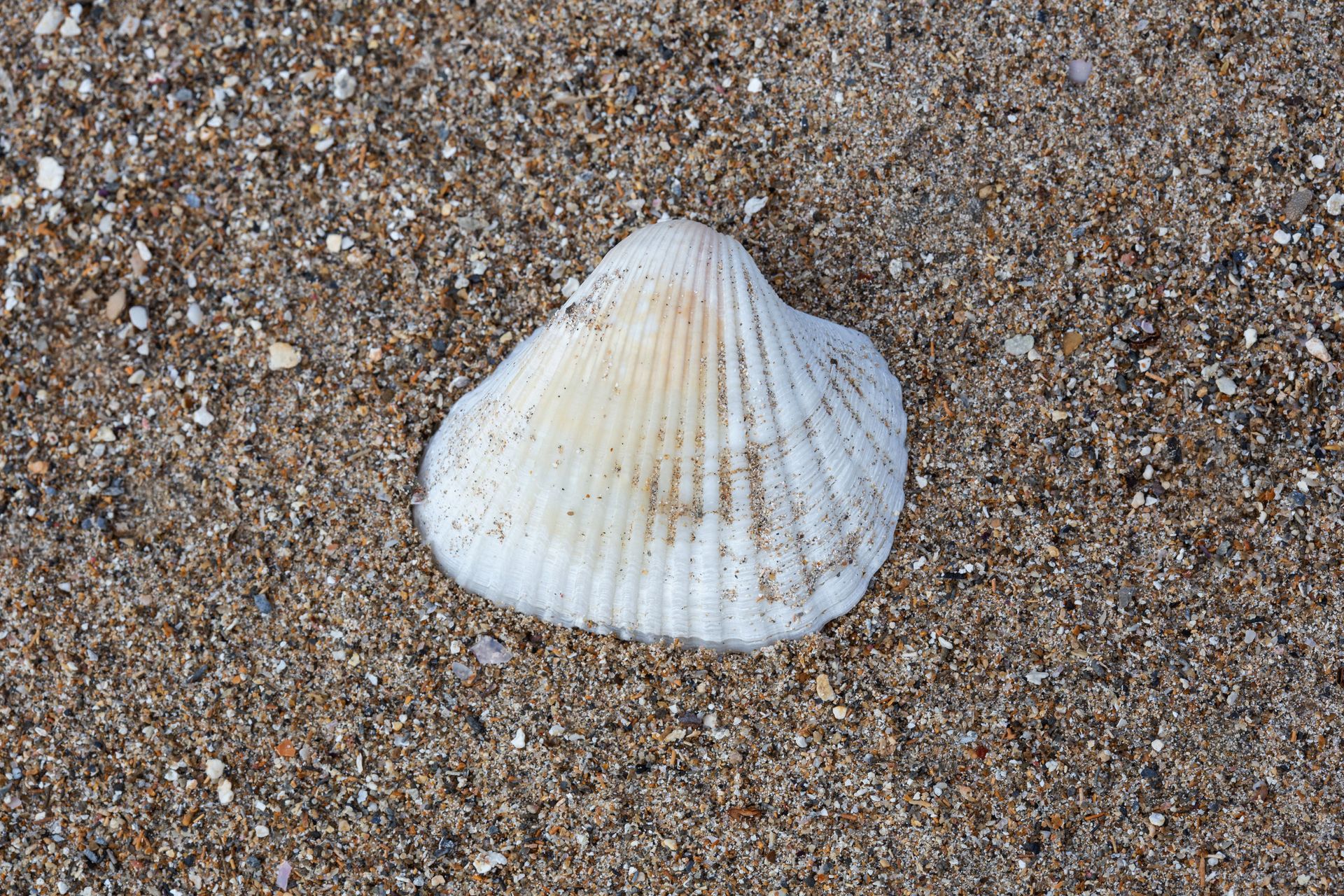 Entre Areias e Encantos - Boipeba e Moreré - 2 - 0