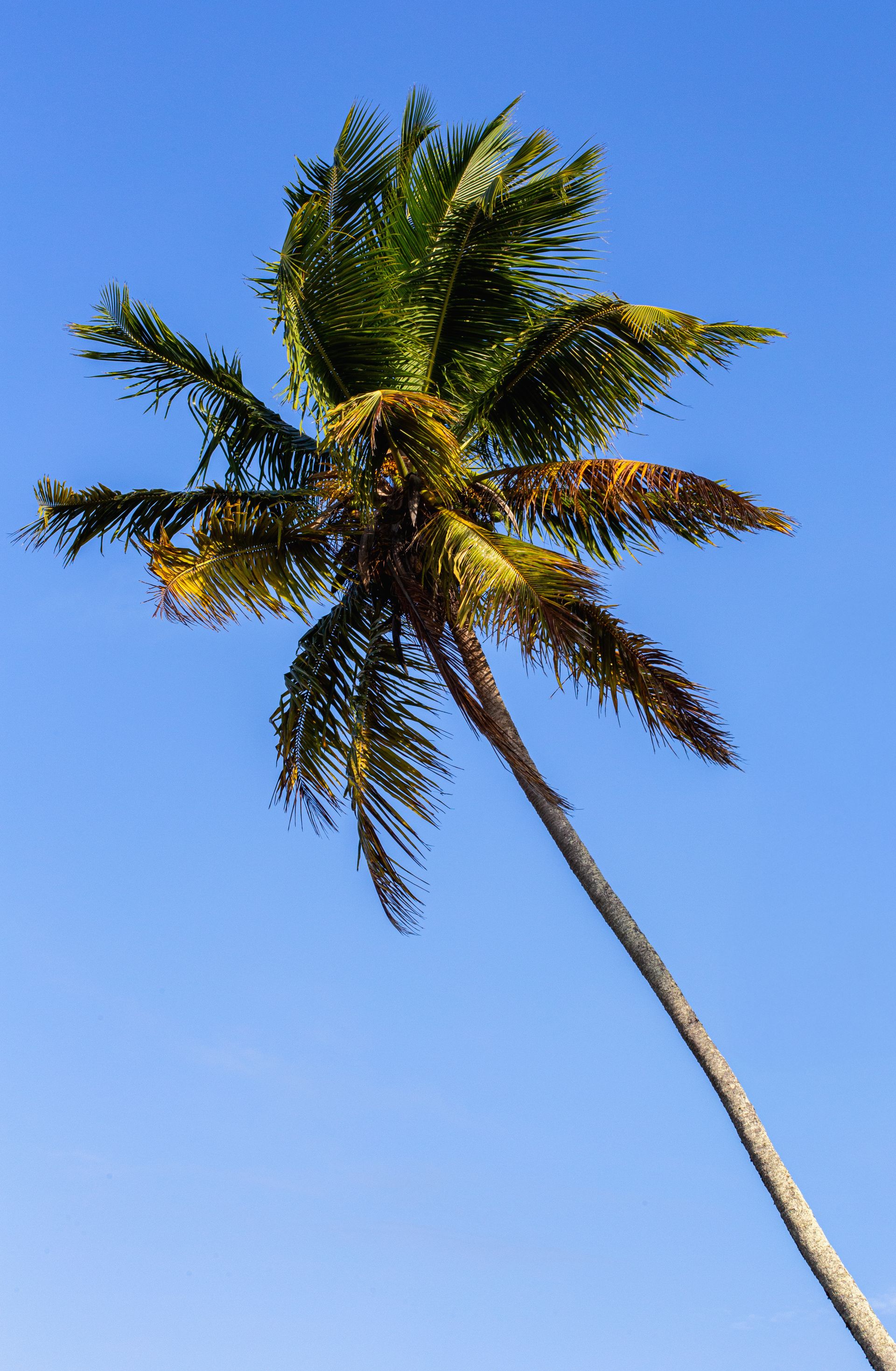 Entre Areias e Encantos - Boipeba e Moreré - 2 - 0