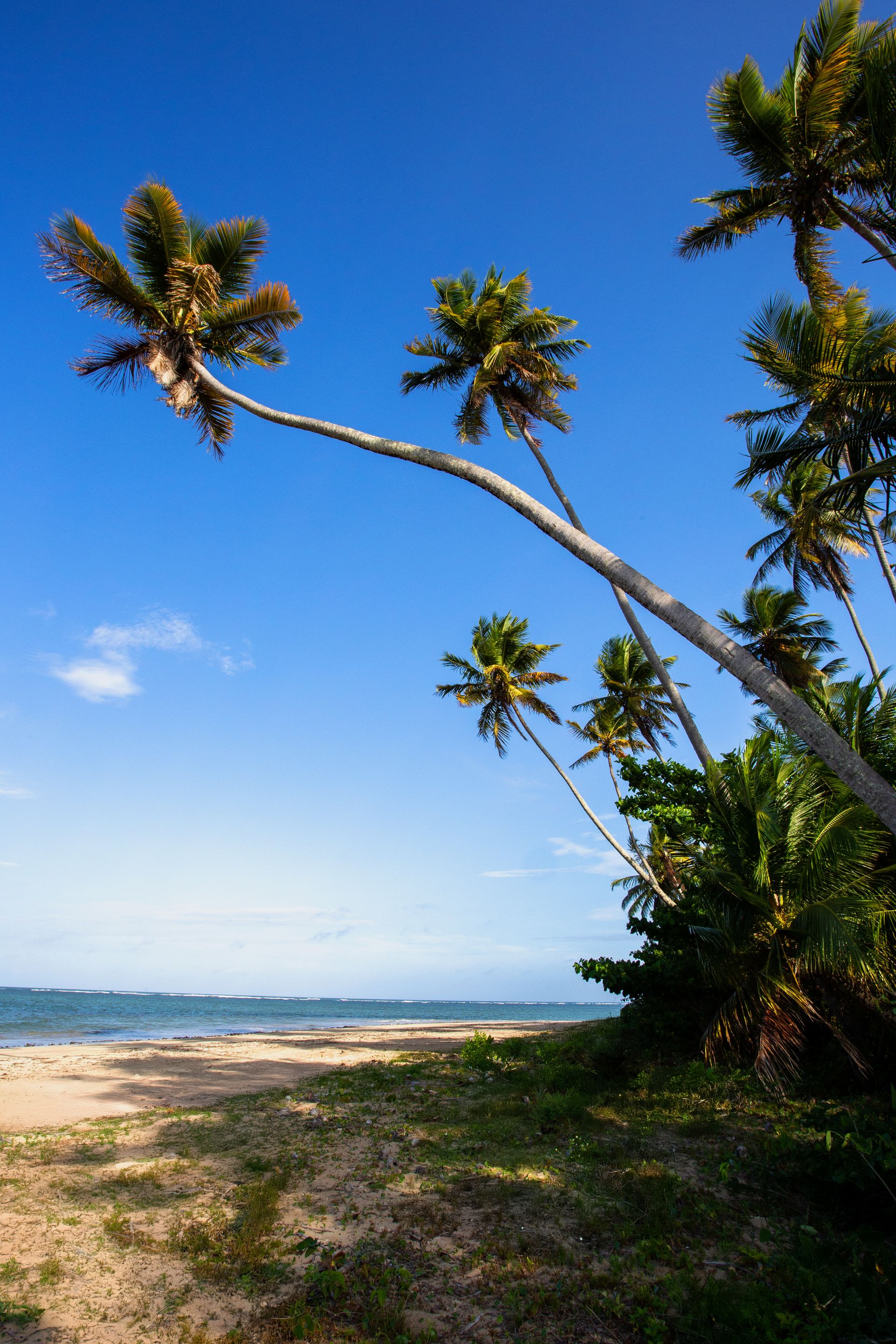 Entre Areias e Encantos - Boipeba e Moreré - 2 - 1