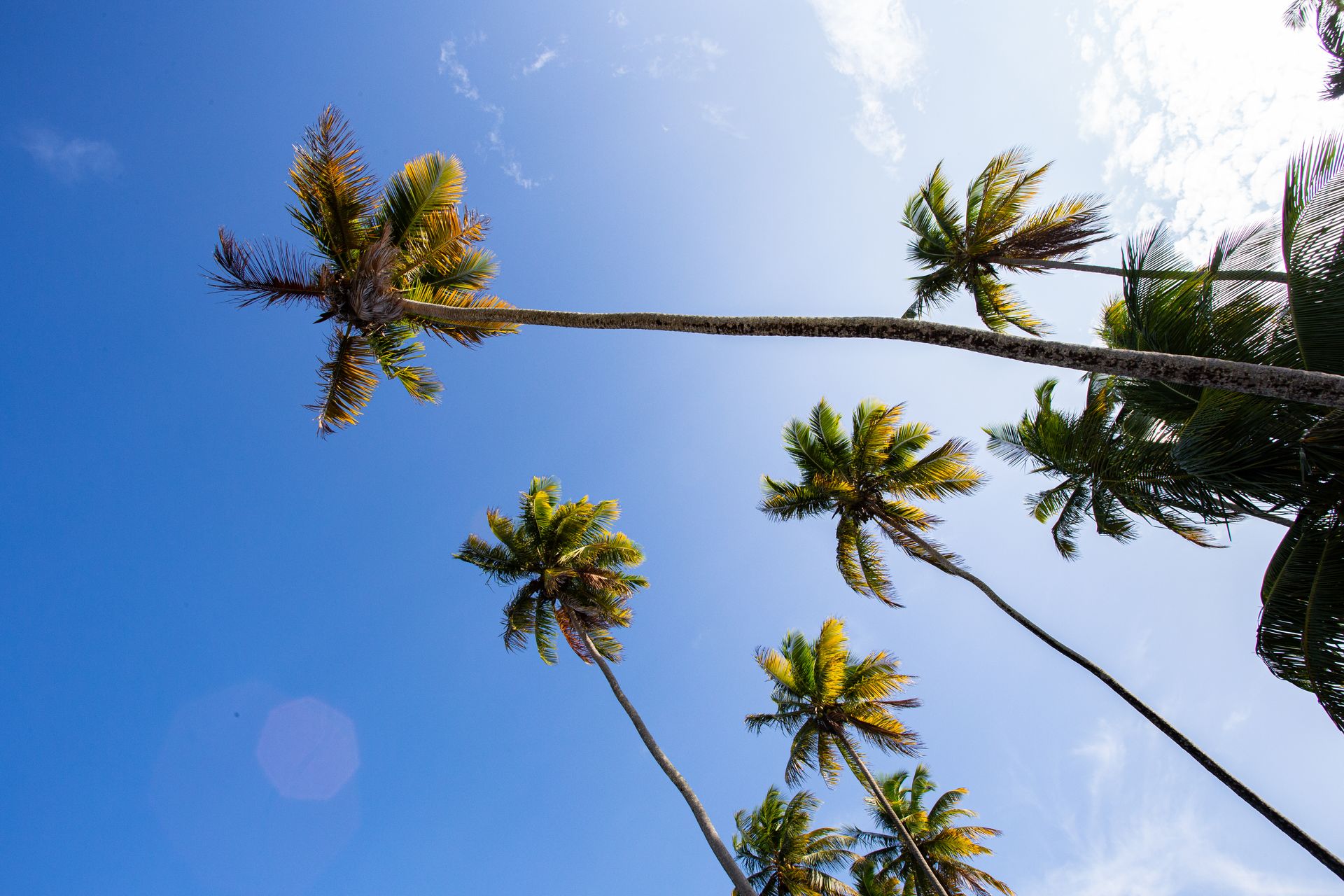 Entre Areias e Encantos - Boipeba e Moreré - 2 - 0