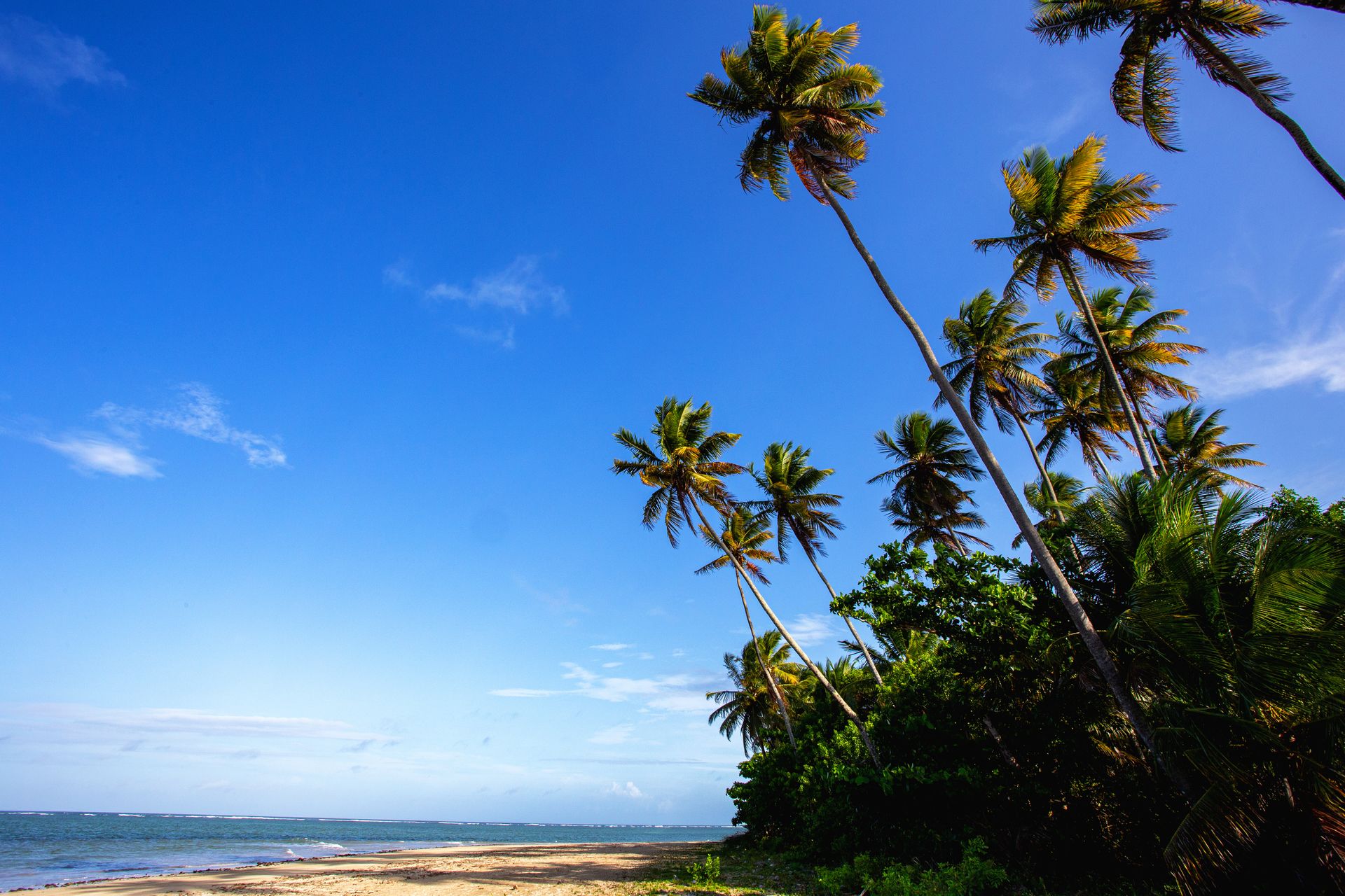 Entre Areias e Encantos - Boipeba e Moreré - 2 - 1