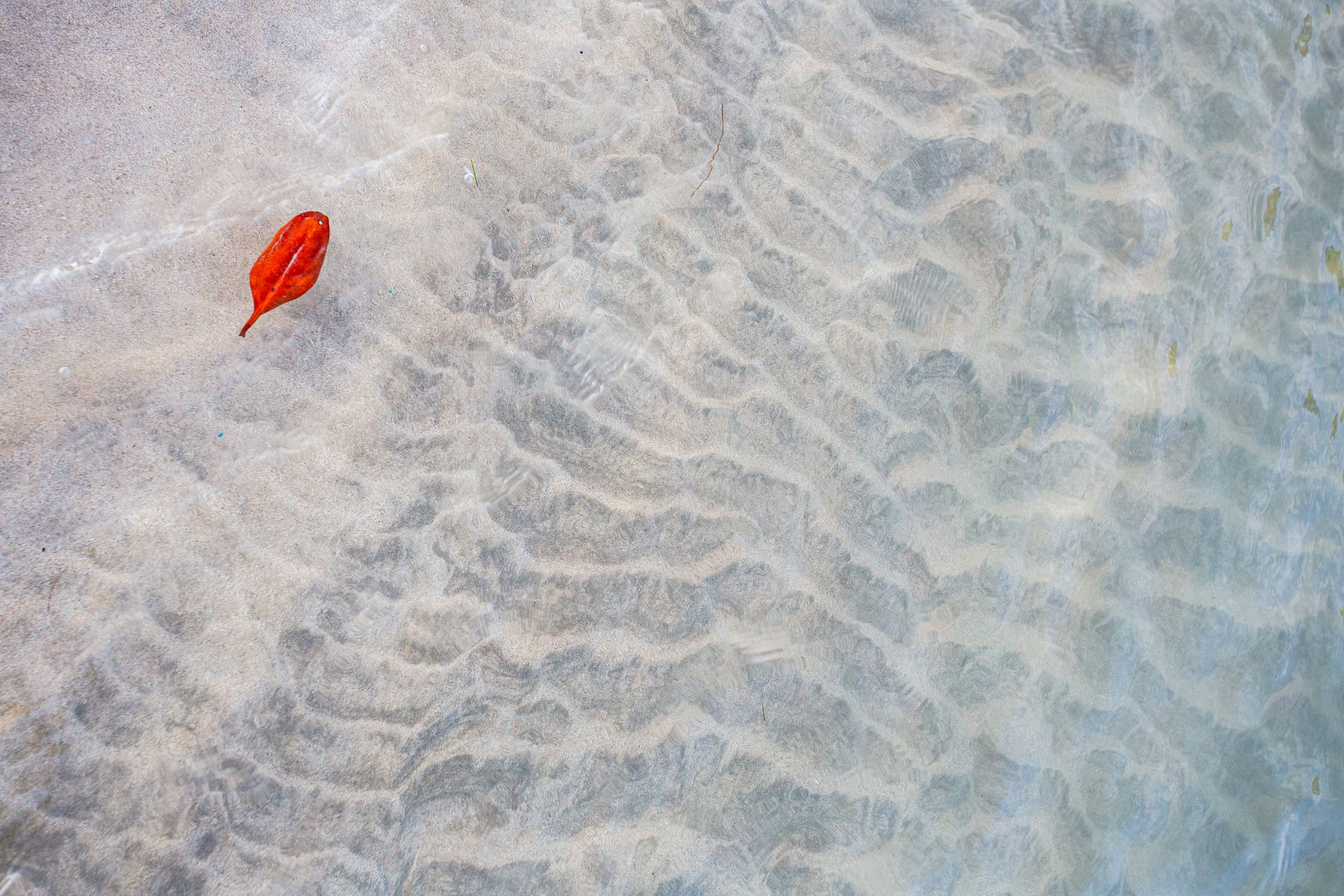 Entre Areias e Encantos - Boipeba e Moreré - 2 - 1