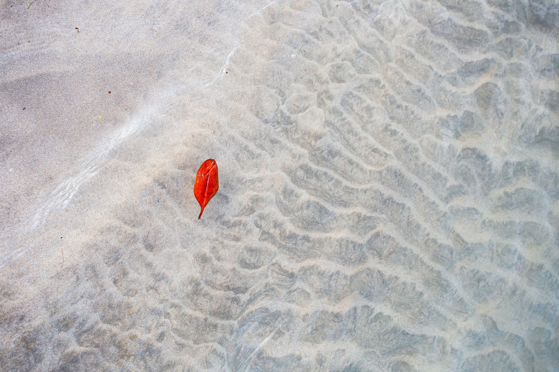 Entre Areias e Encantos - Boipeba e Moreré - 2 - 0