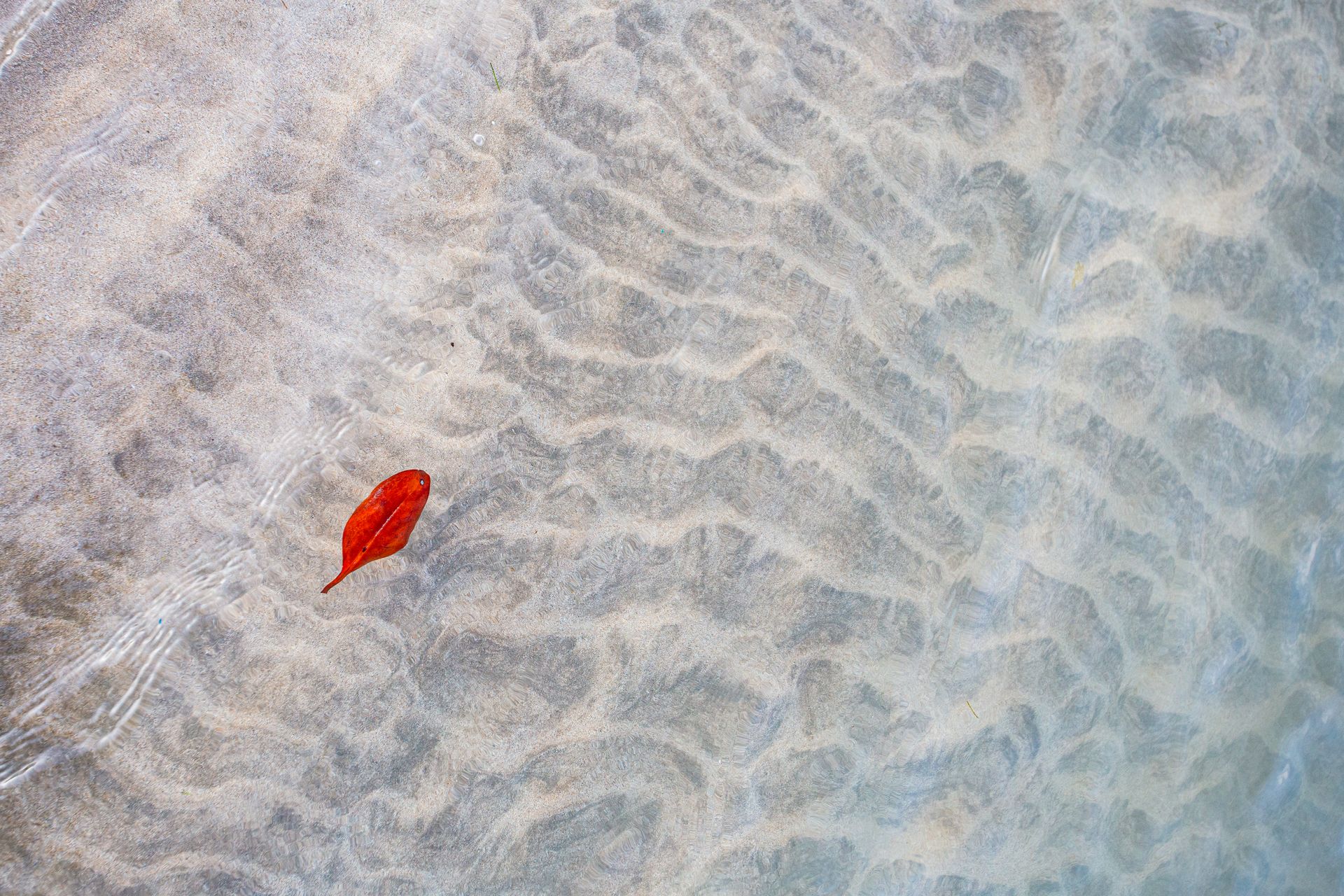 Entre Areias e Encantos - Boipeba e Moreré - 2 - 0