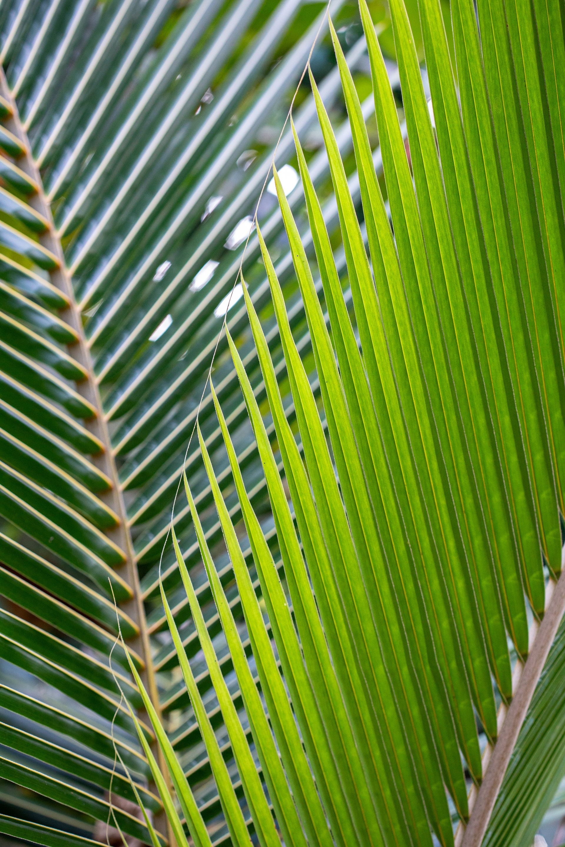 Entre Areias e Encantos - Boipeba e Moreré - 2 - 0