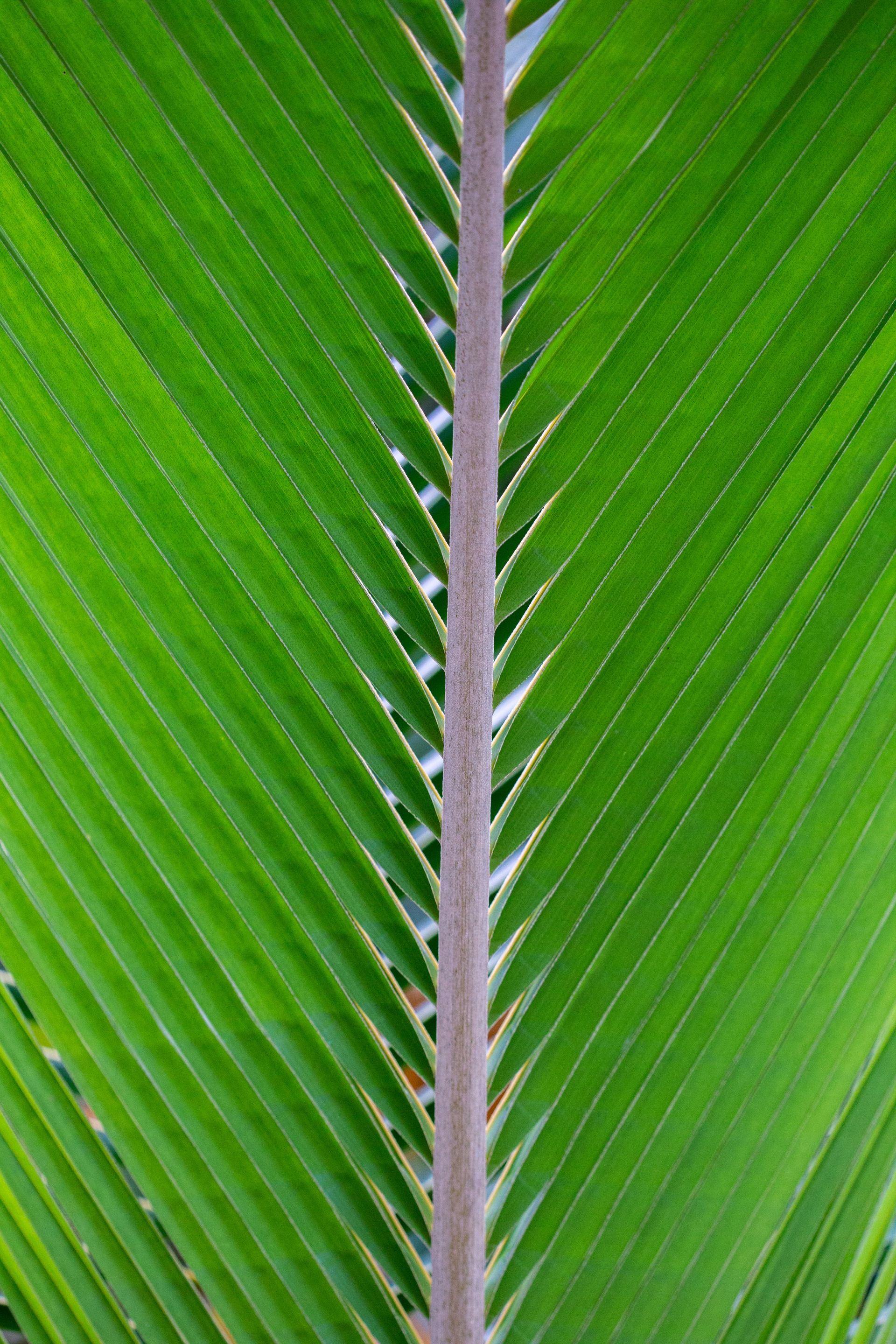 Entre Areias e Encantos - Boipeba e Moreré - 2 - 1