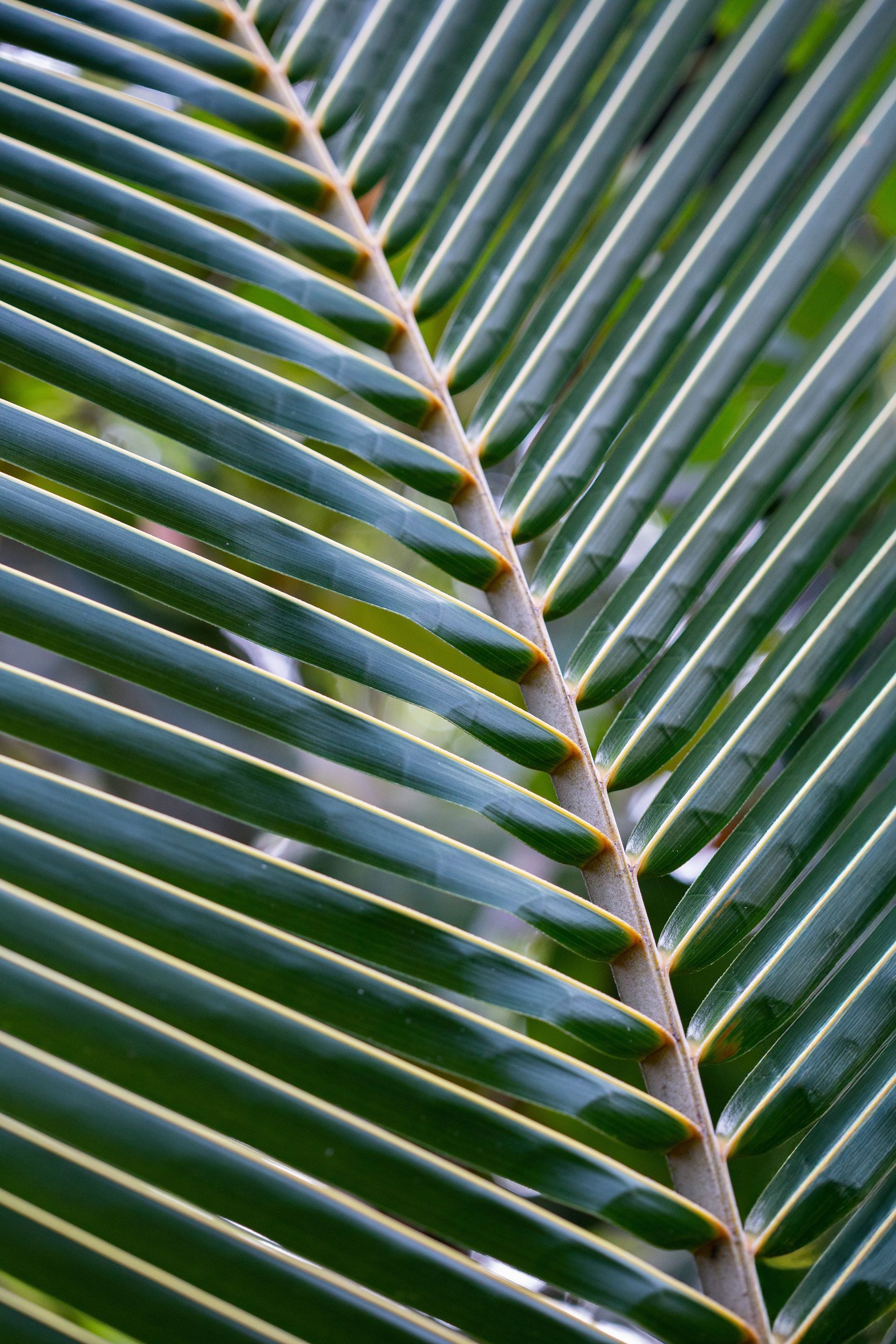 Entre Areias e Encantos - Boipeba e Moreré - 2 - 0