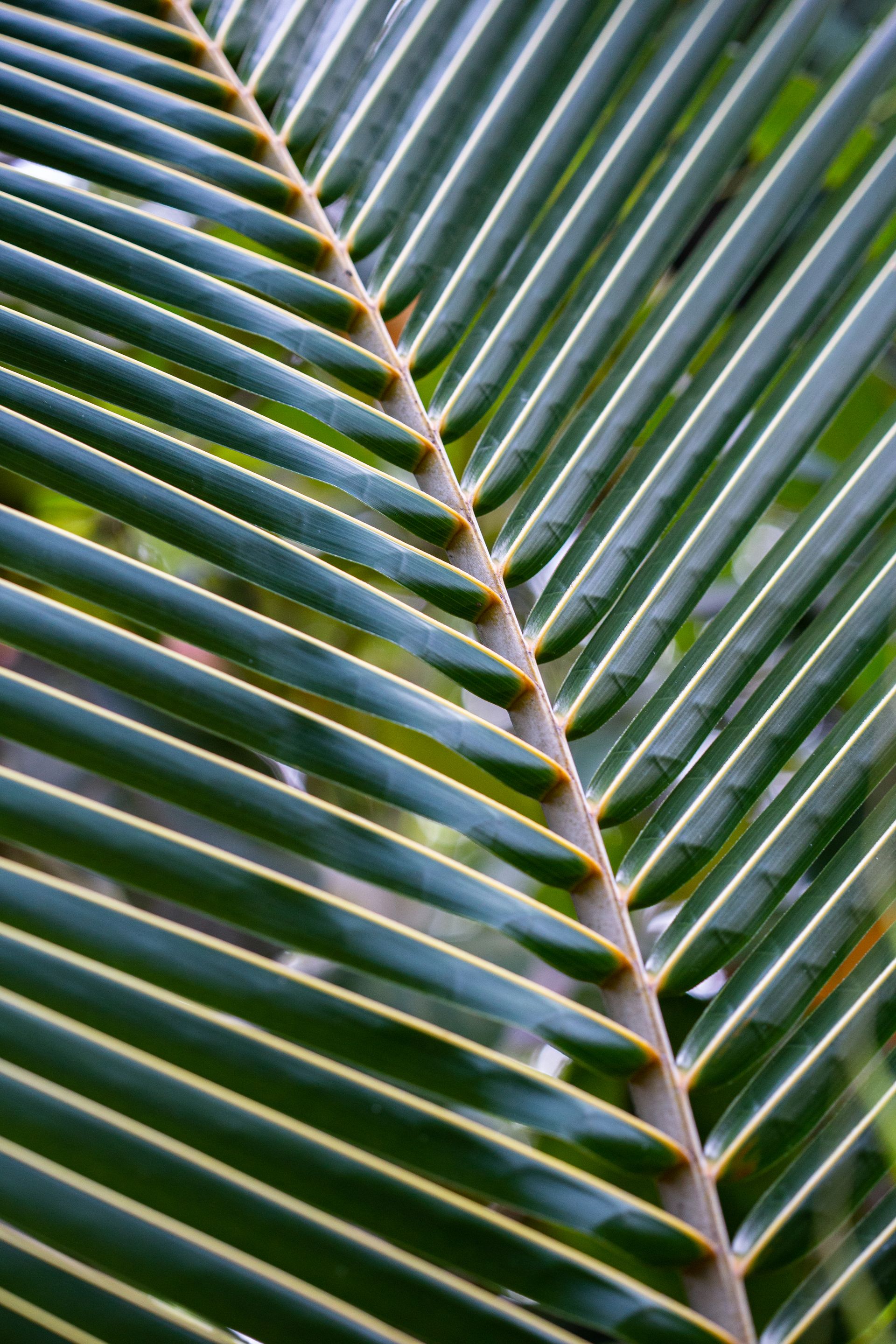 Entre Areias e Encantos - Boipeba e Moreré - 2 - 1