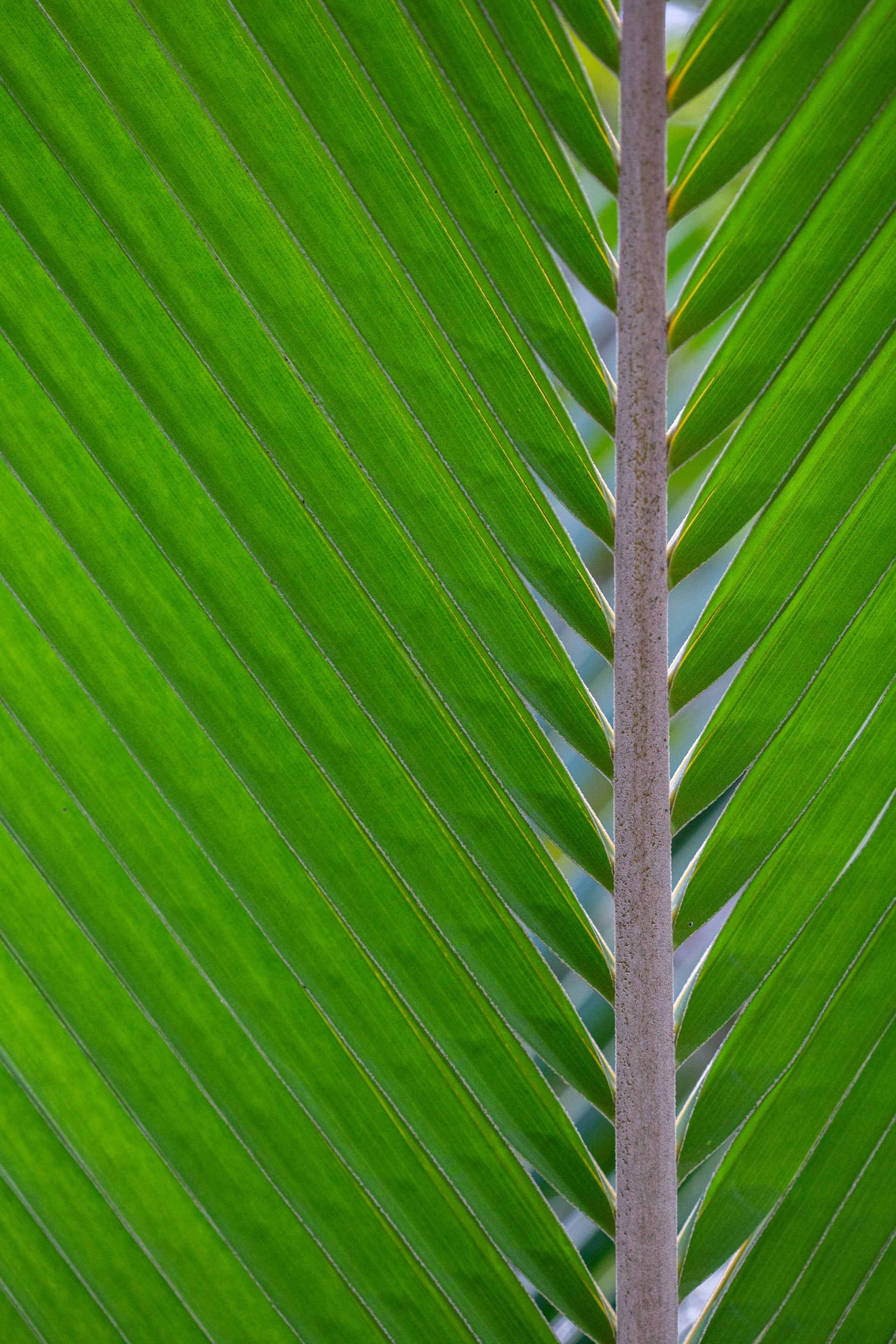 Entre Areias e Encantos - Boipeba e Moreré - 2 - 1