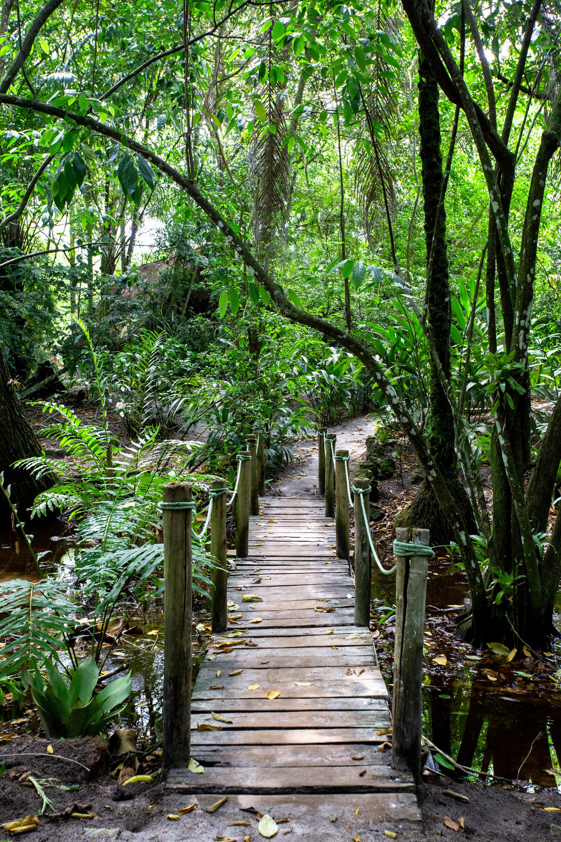 Entre Areias e Encantos - Boipeba e Moreré - 2 - 0