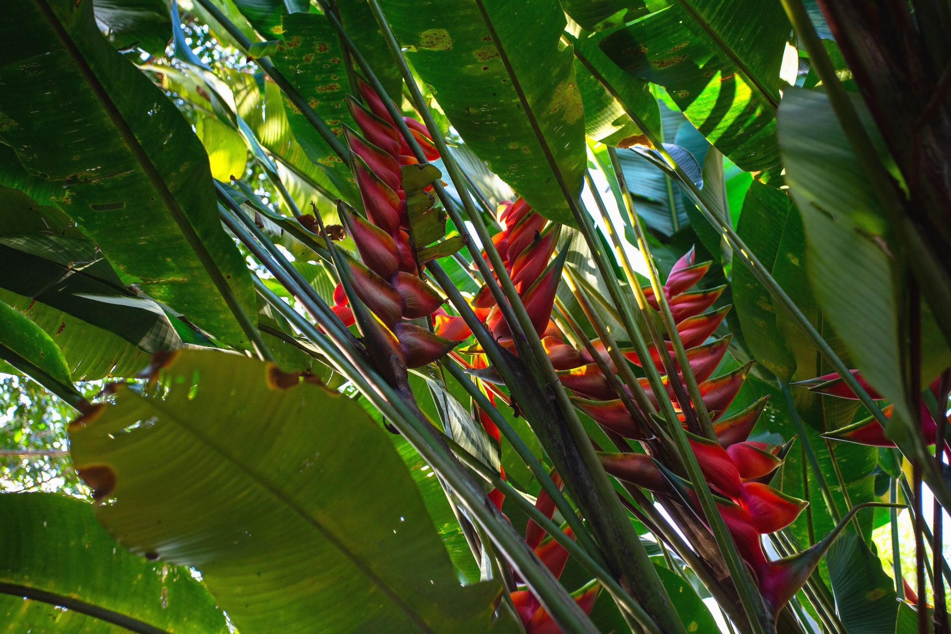 Entre Areias e Encantos - Boipeba e Moreré - 2 - 0