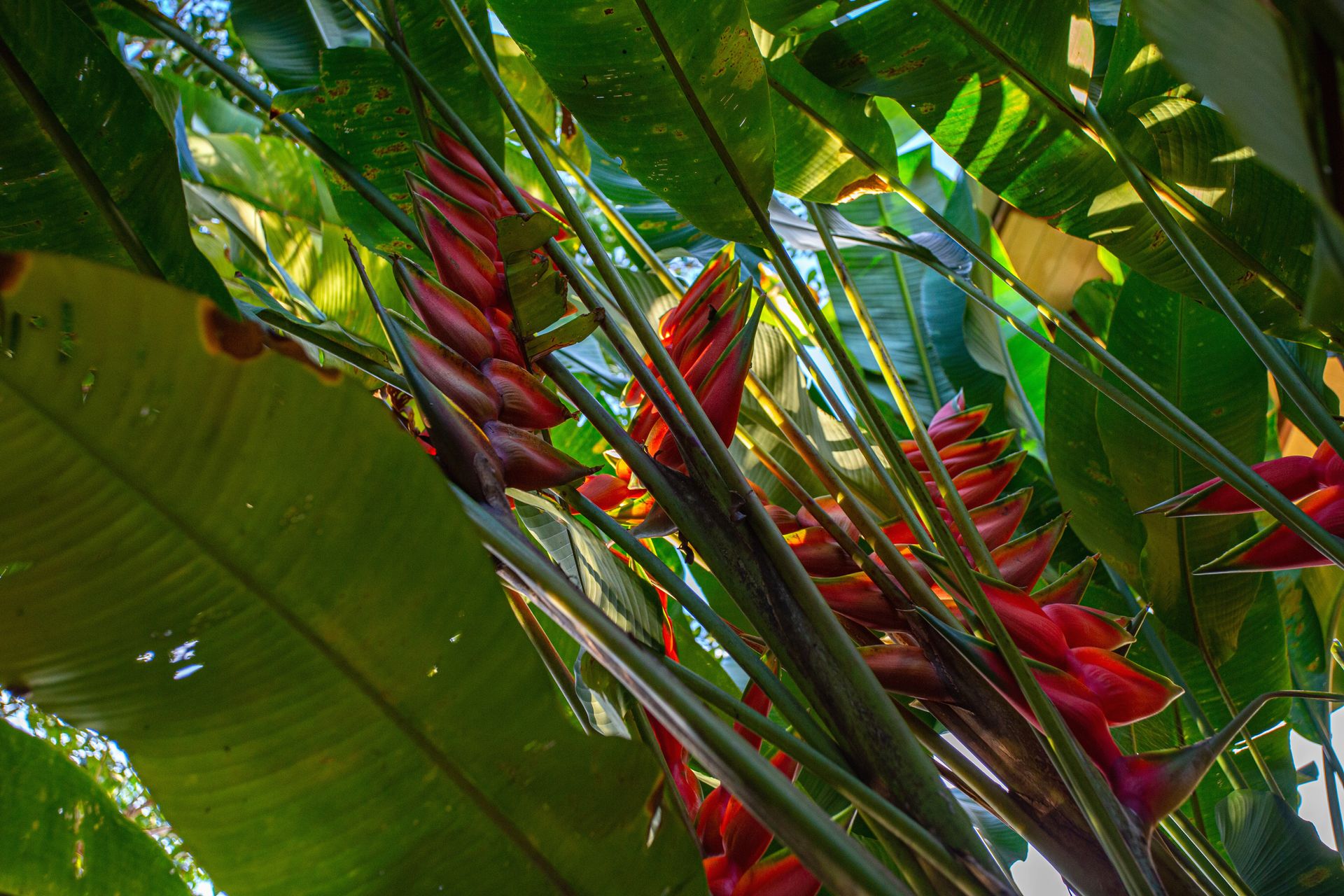 Entre Areias e Encantos - Boipeba e Moreré - 2 - 1