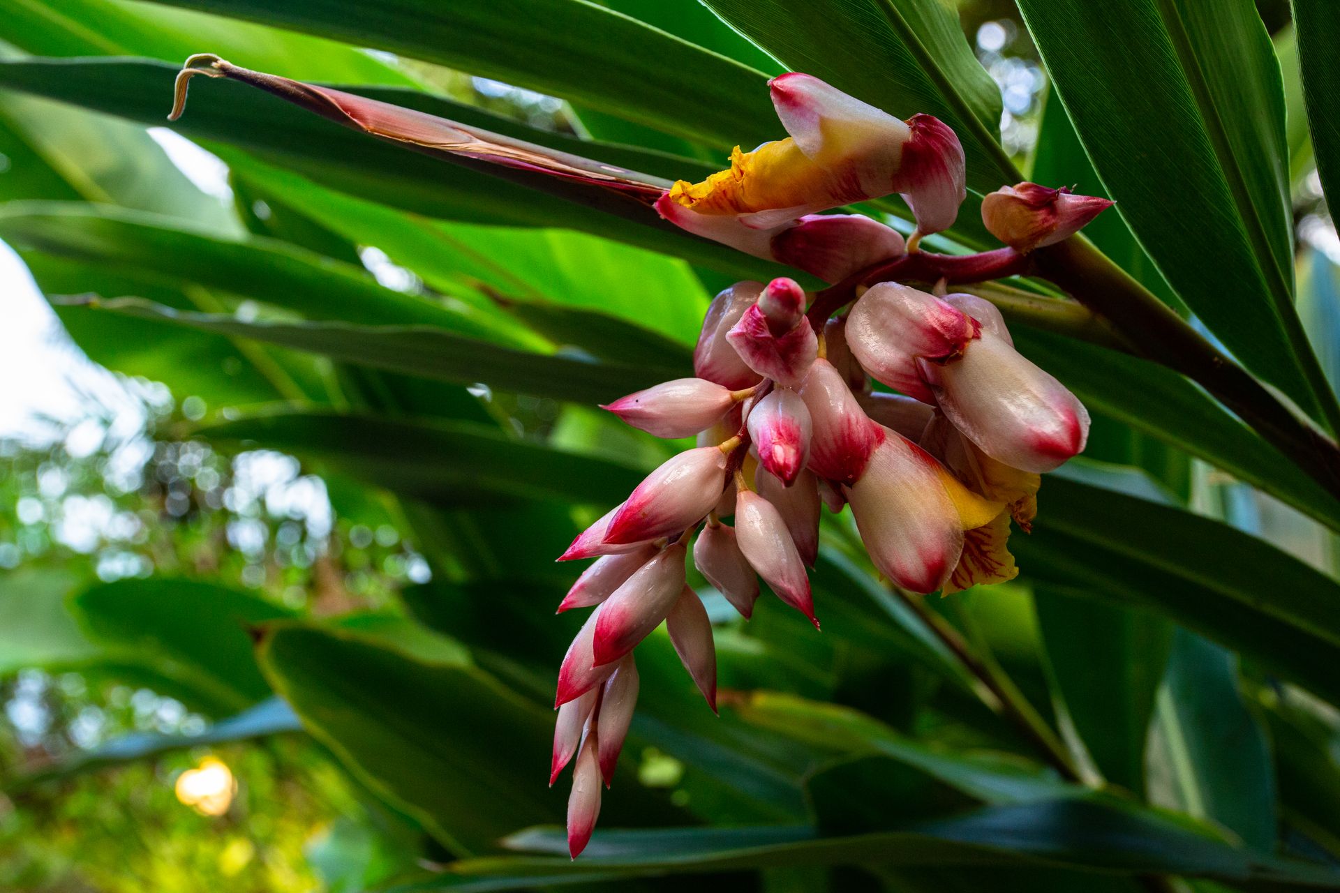 Entre Areias e Encantos - Boipeba e Moreré - 2 - 0