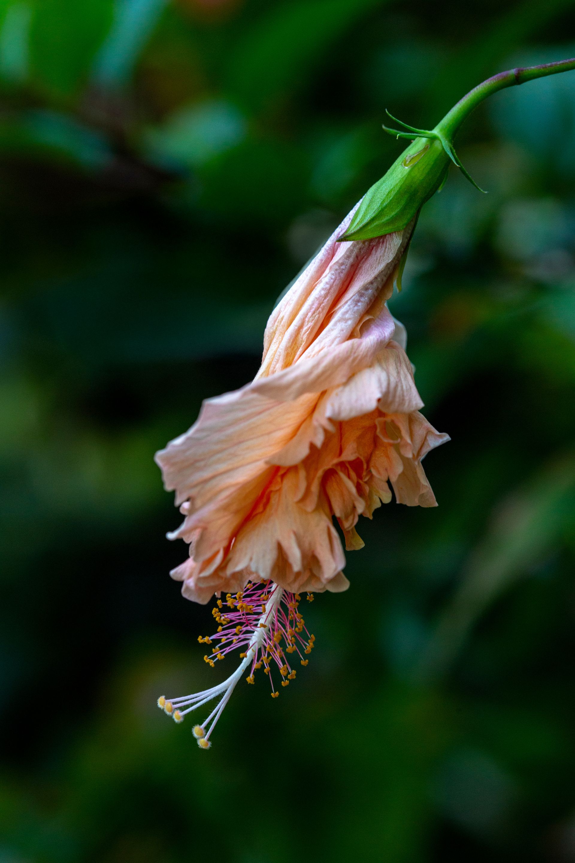 Entre Areias e Encantos - Boipeba e Moreré - 2 - 1