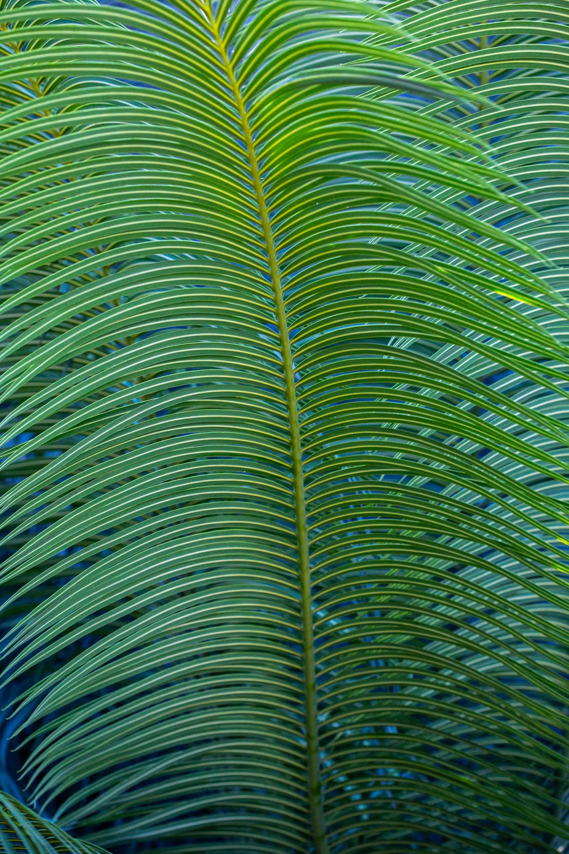 Entre Areias e Encantos - Boipeba e Moreré - 2 - 1