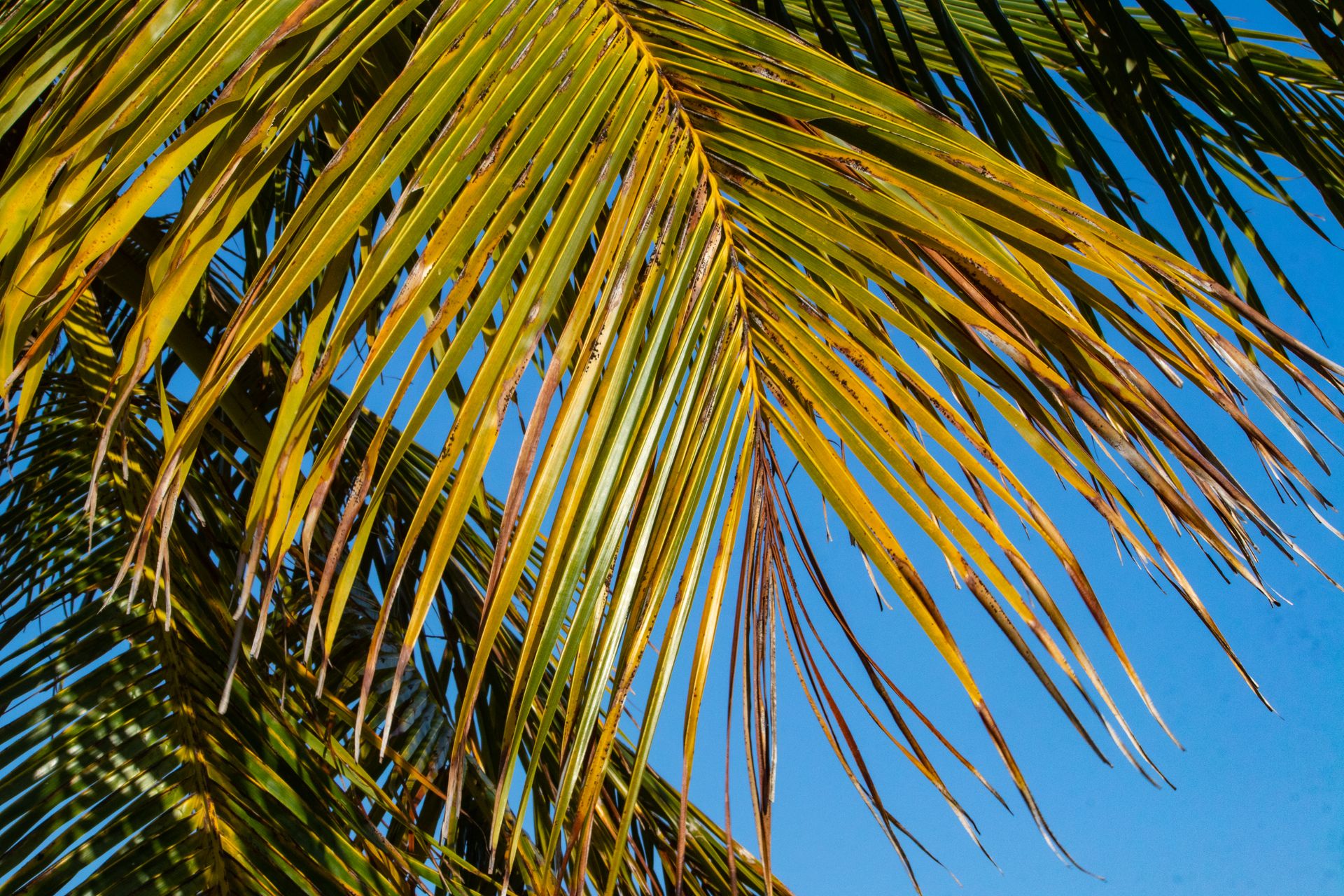 Meus Caminhos, Minha Ilha - Morro de São Paulo - 2 - 0
