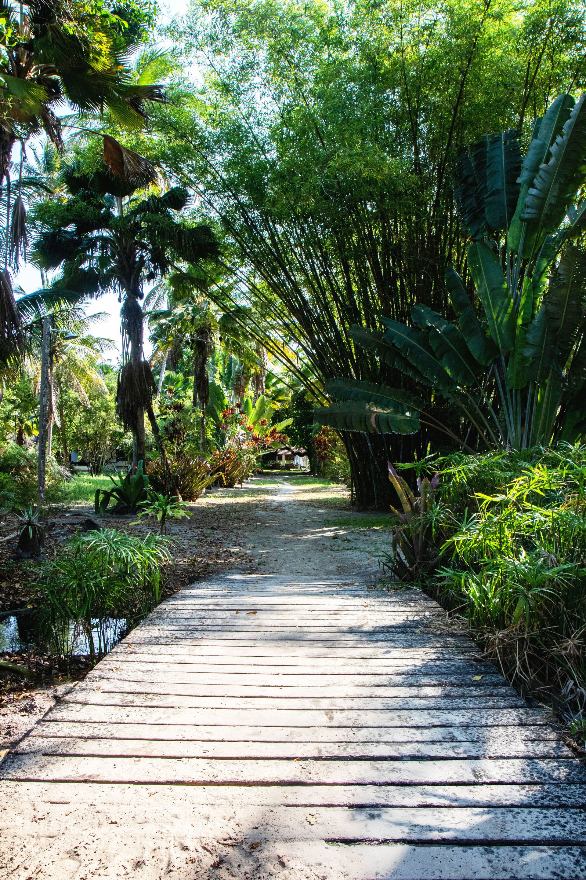 Meus Caminhos, Minha Ilha - Morro de São Paulo - 2 - 0